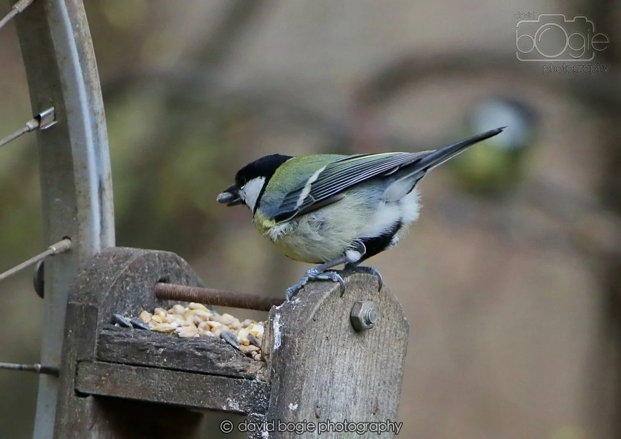 20260215 130259 Silverburn 0019.jpg