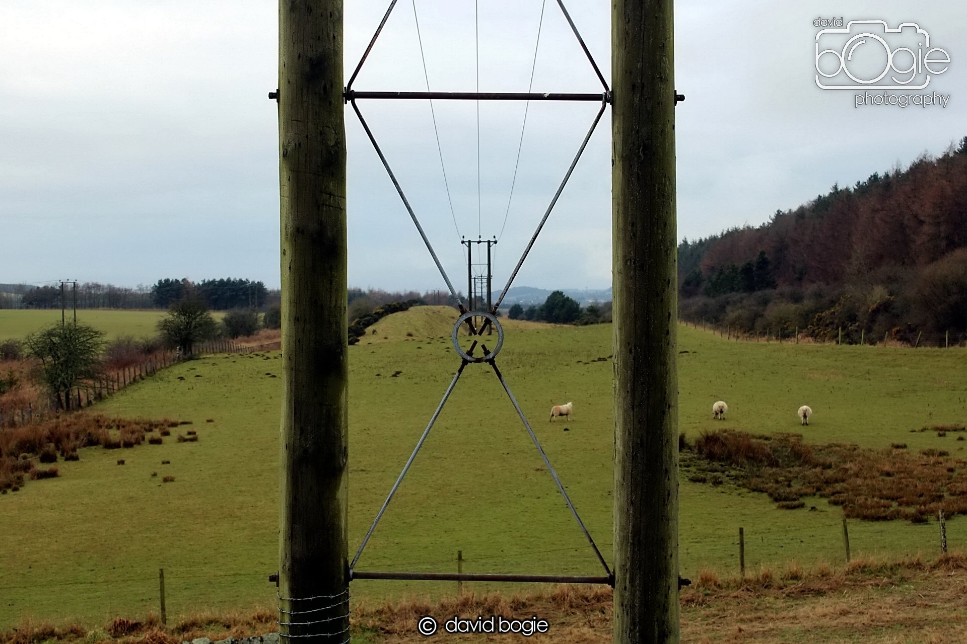 20190207 103701 Kinglassie 0003.JPG