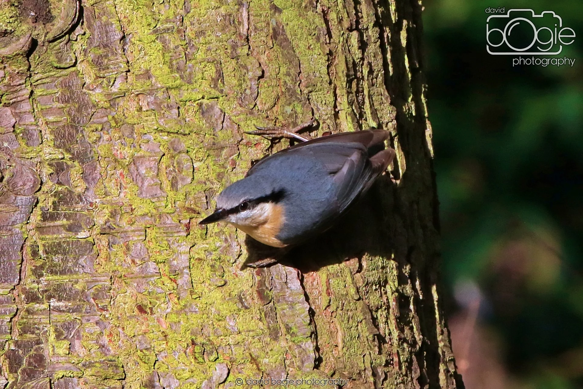 20260128 132044 Dunnikier 0169.JPG