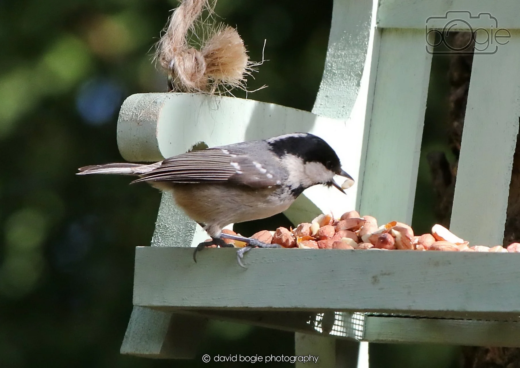 20260403 122002 Dunnikier 0159.jpg