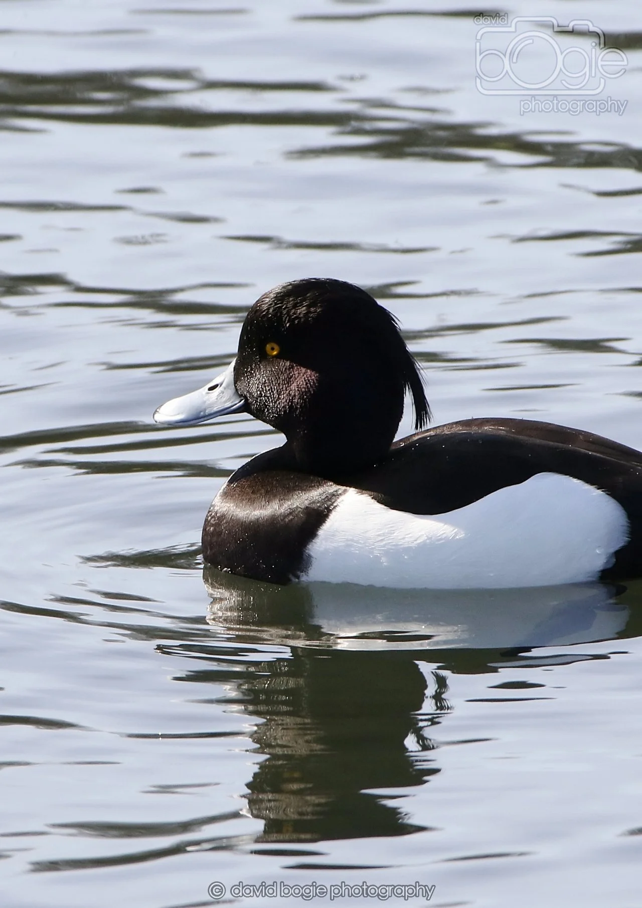 20260319 133039 Beveridge Park 0452.jpg