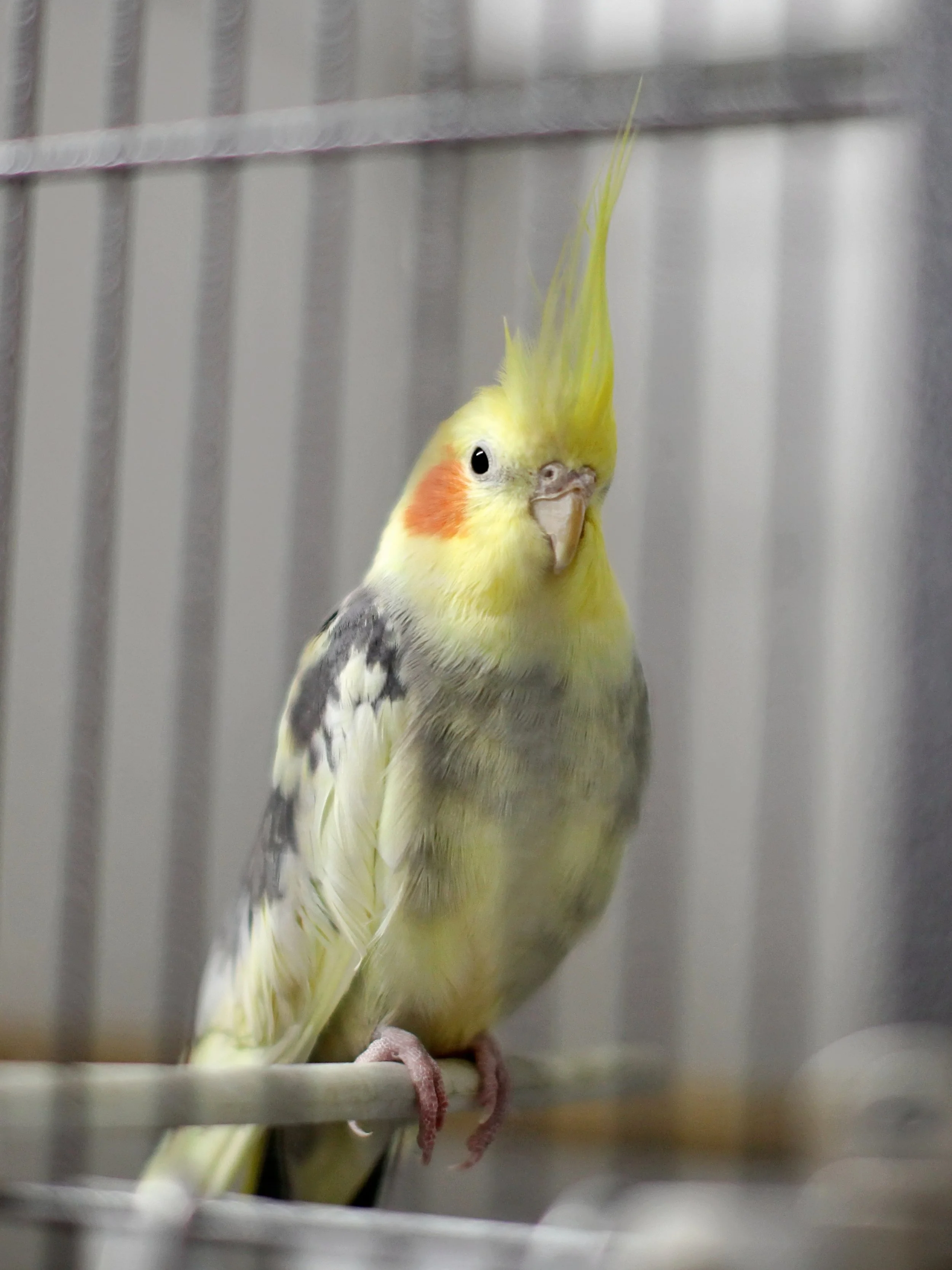 20251117 124533 IMG_0020.JPG