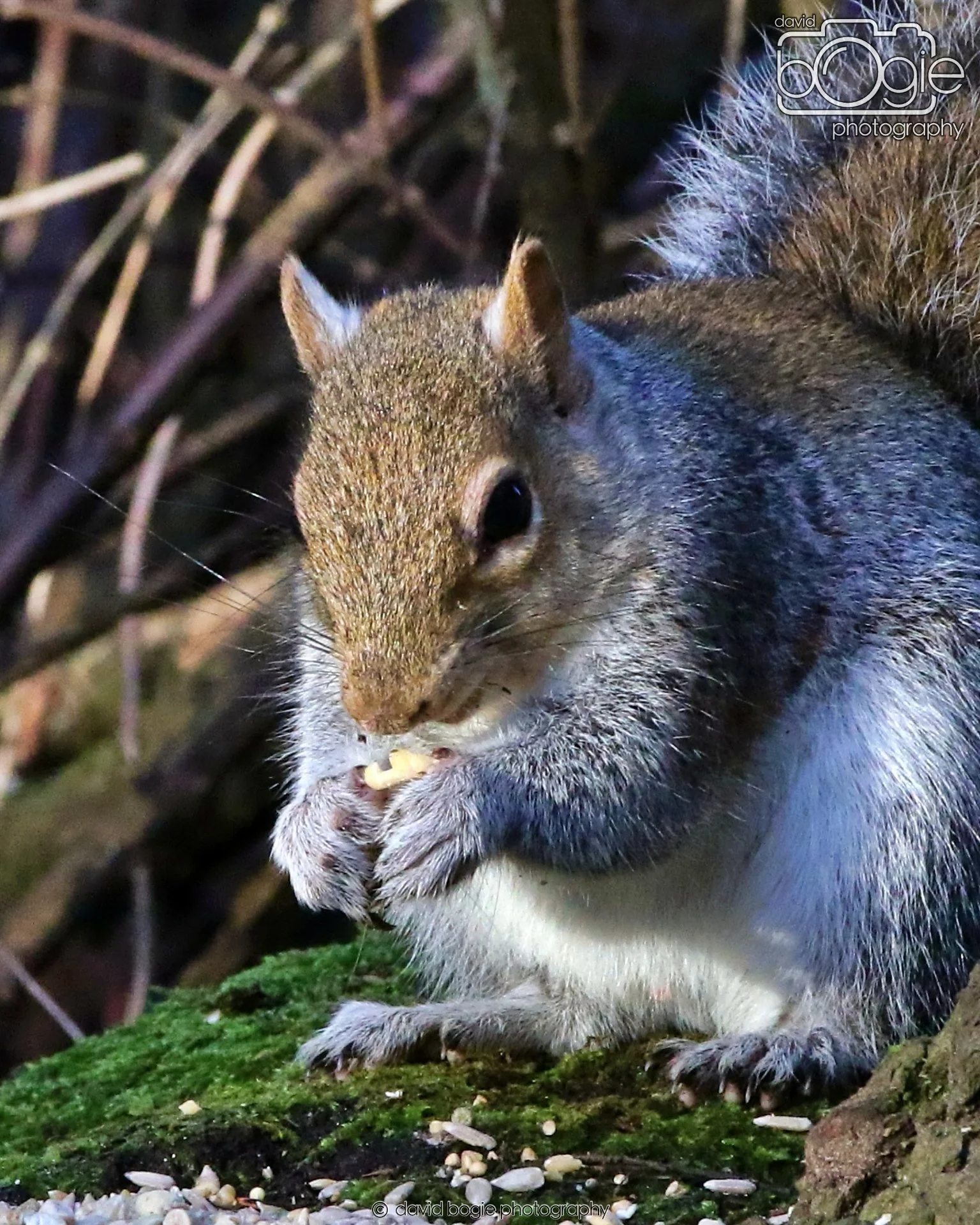 20260128 144911 Dunnikier 0489.JPG