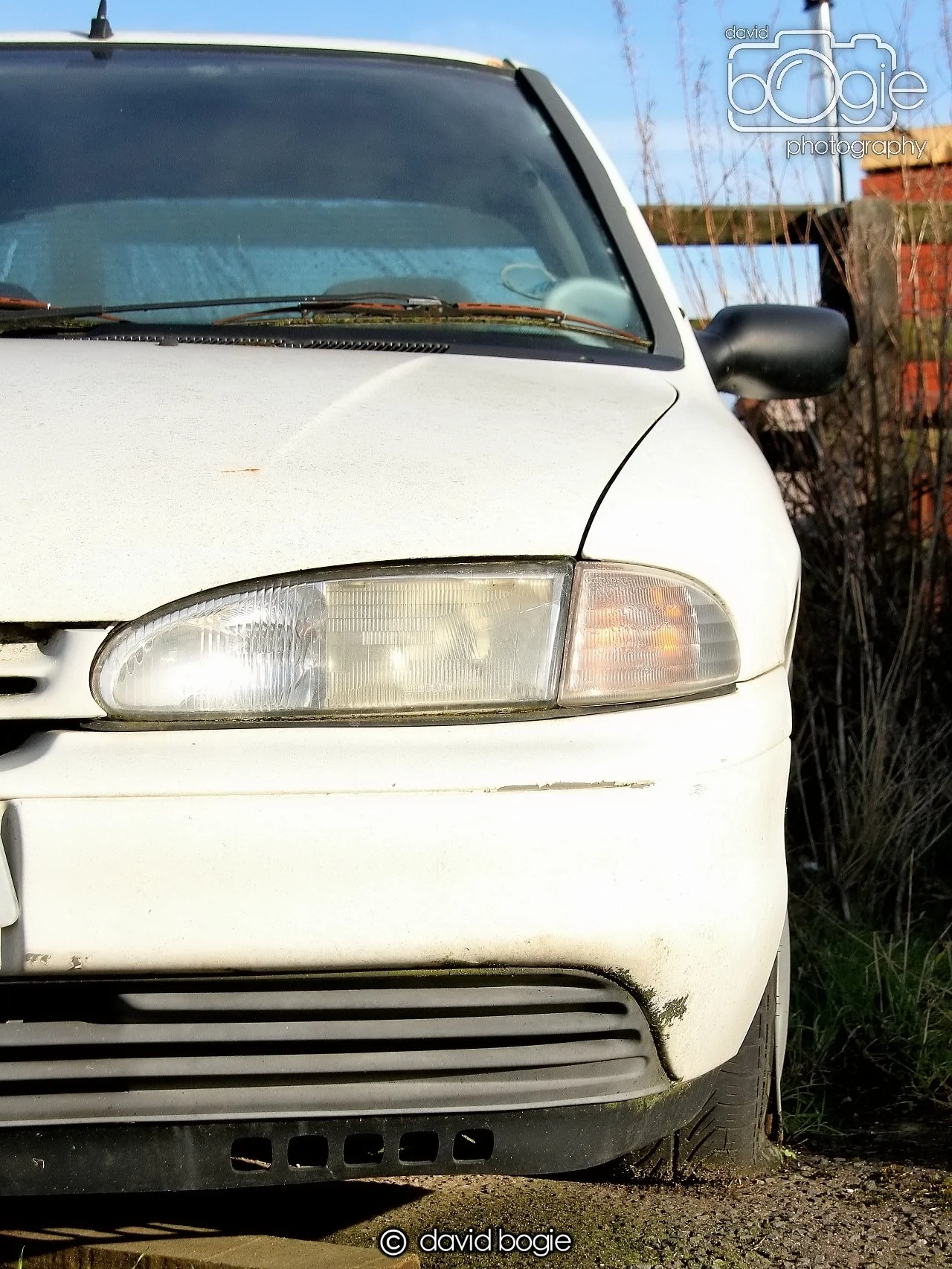 20250129 132449 Reekies 0160.JPG