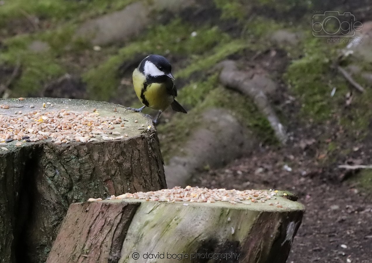 20260309 120431 Dunnikier 0576.jpg