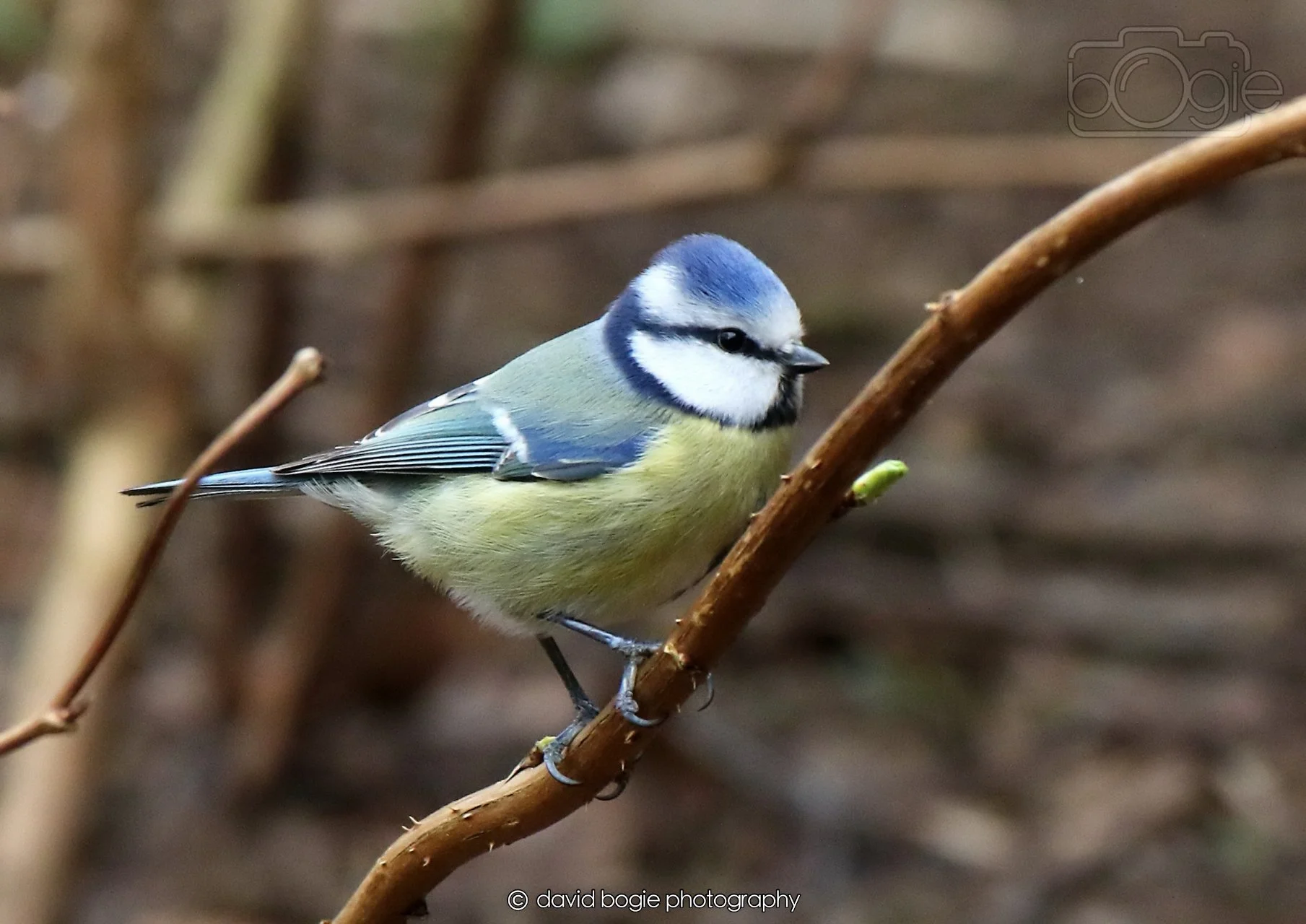 20260326 112043 Silverburn 0062.jpg