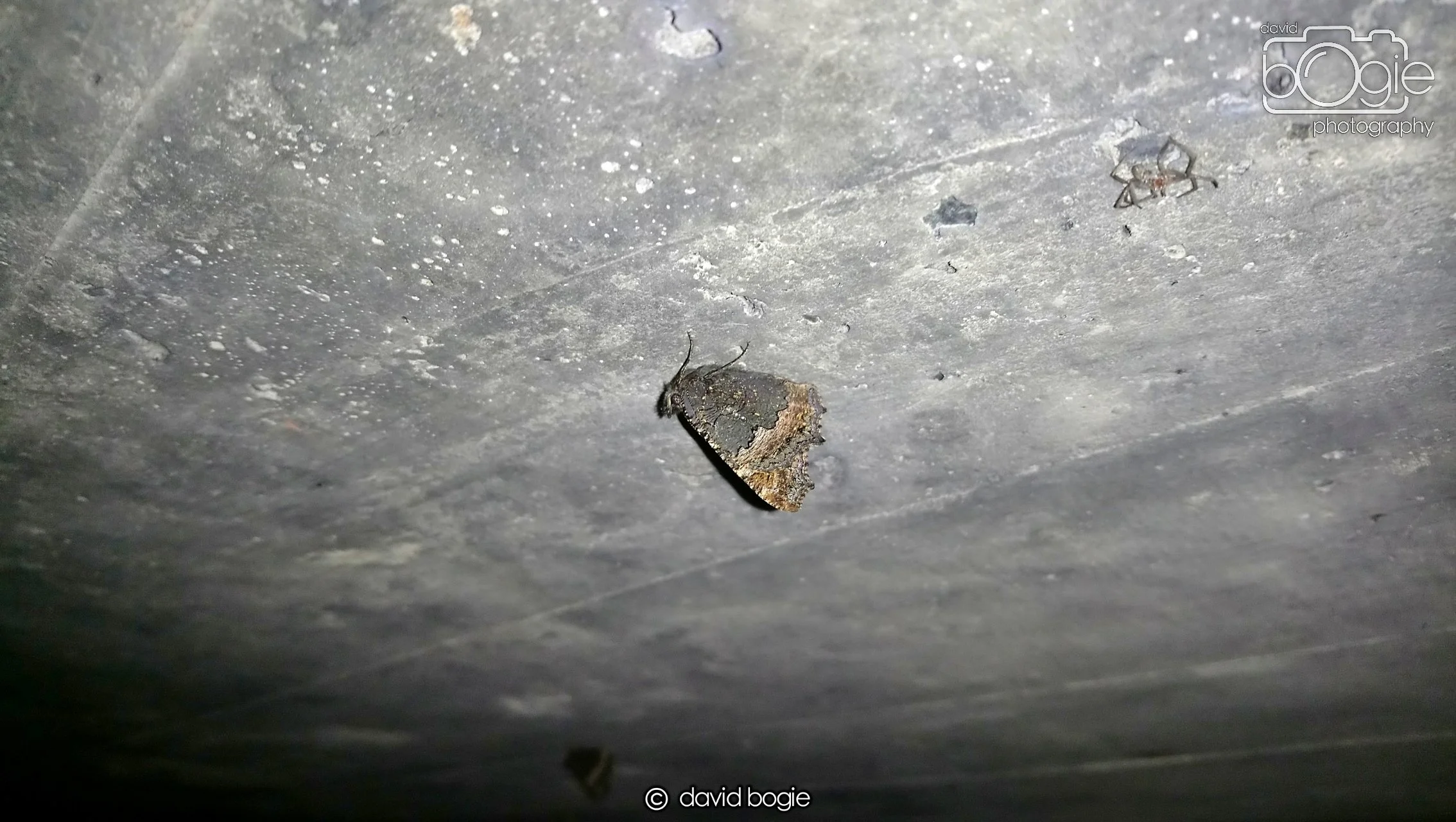 20181020 124758 Burntisland 0006.JPG