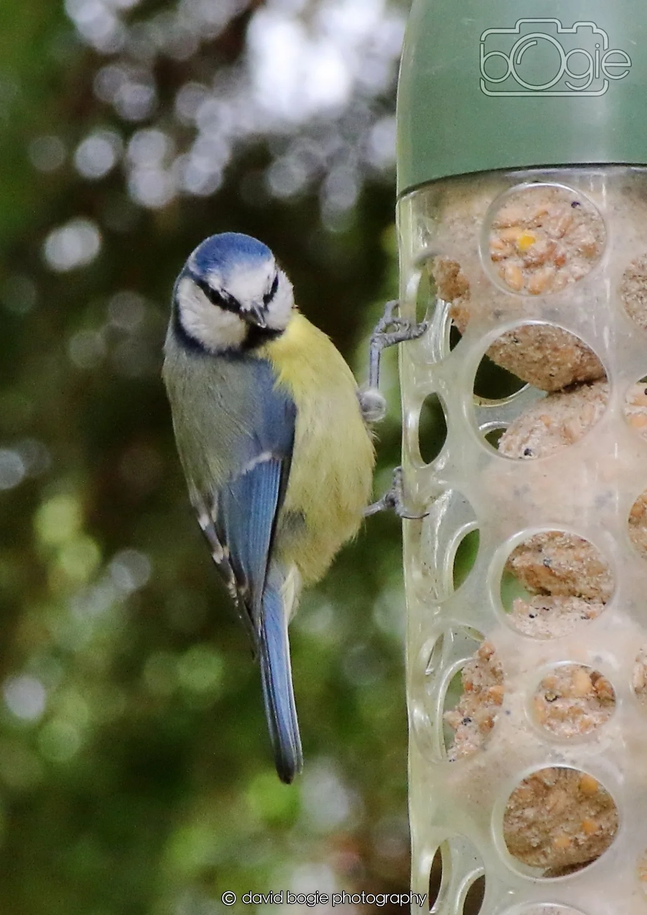 20260330 111207 Dunnikier 0029.jpg