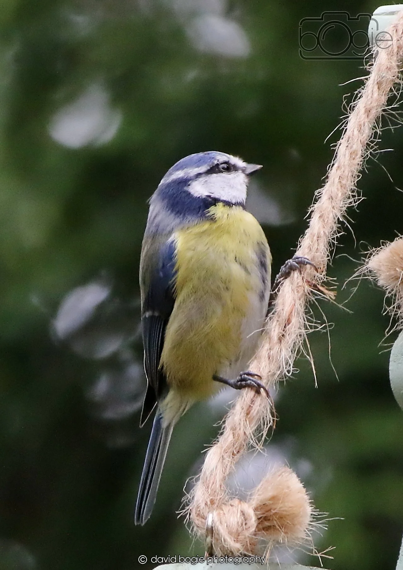 20260403 130306 Dunnikier 0335.jpg