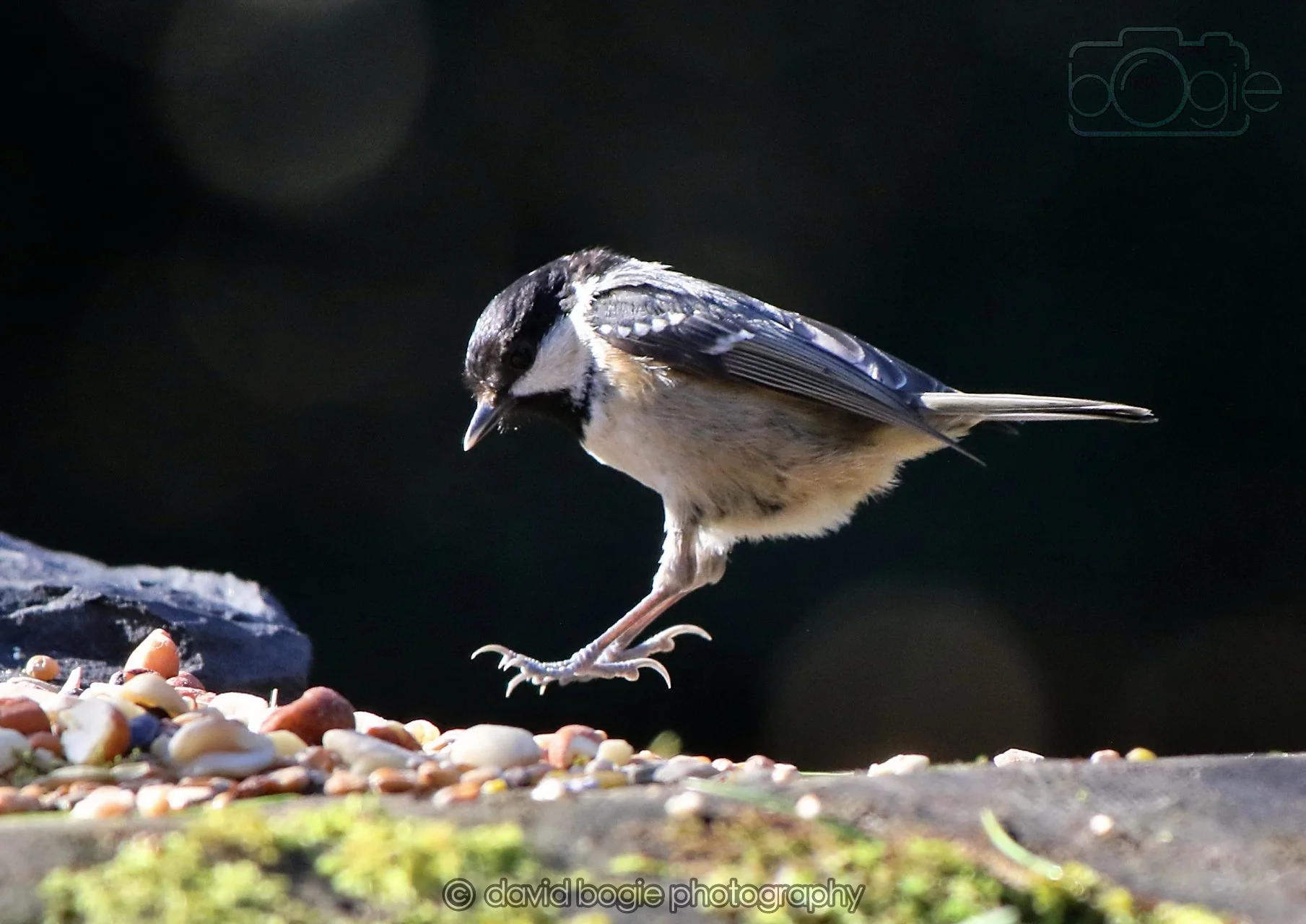 20260320 143032 Ravenscraig 0302.jpg