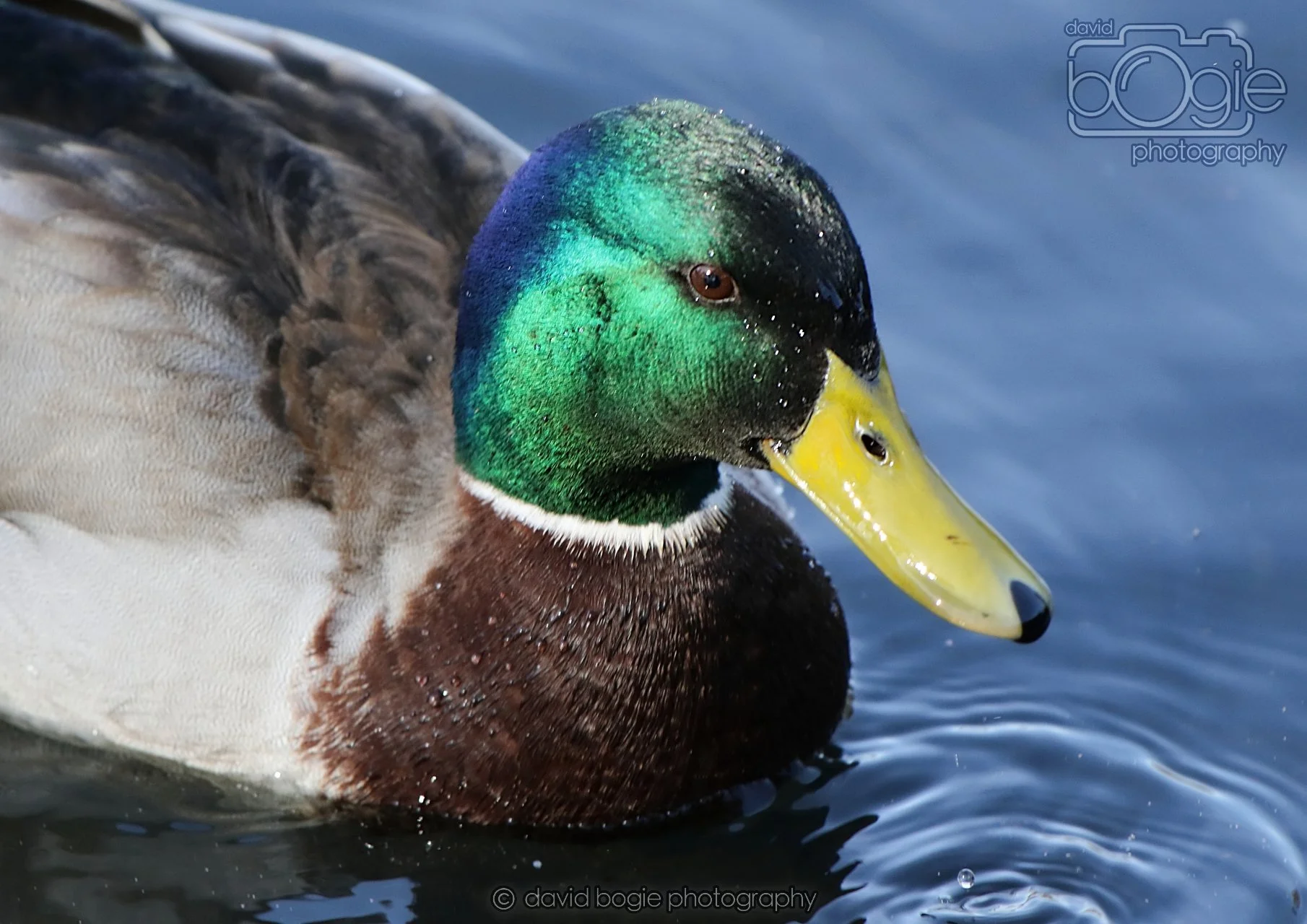 20260319 133422 Beveridge Park 0480.jpg