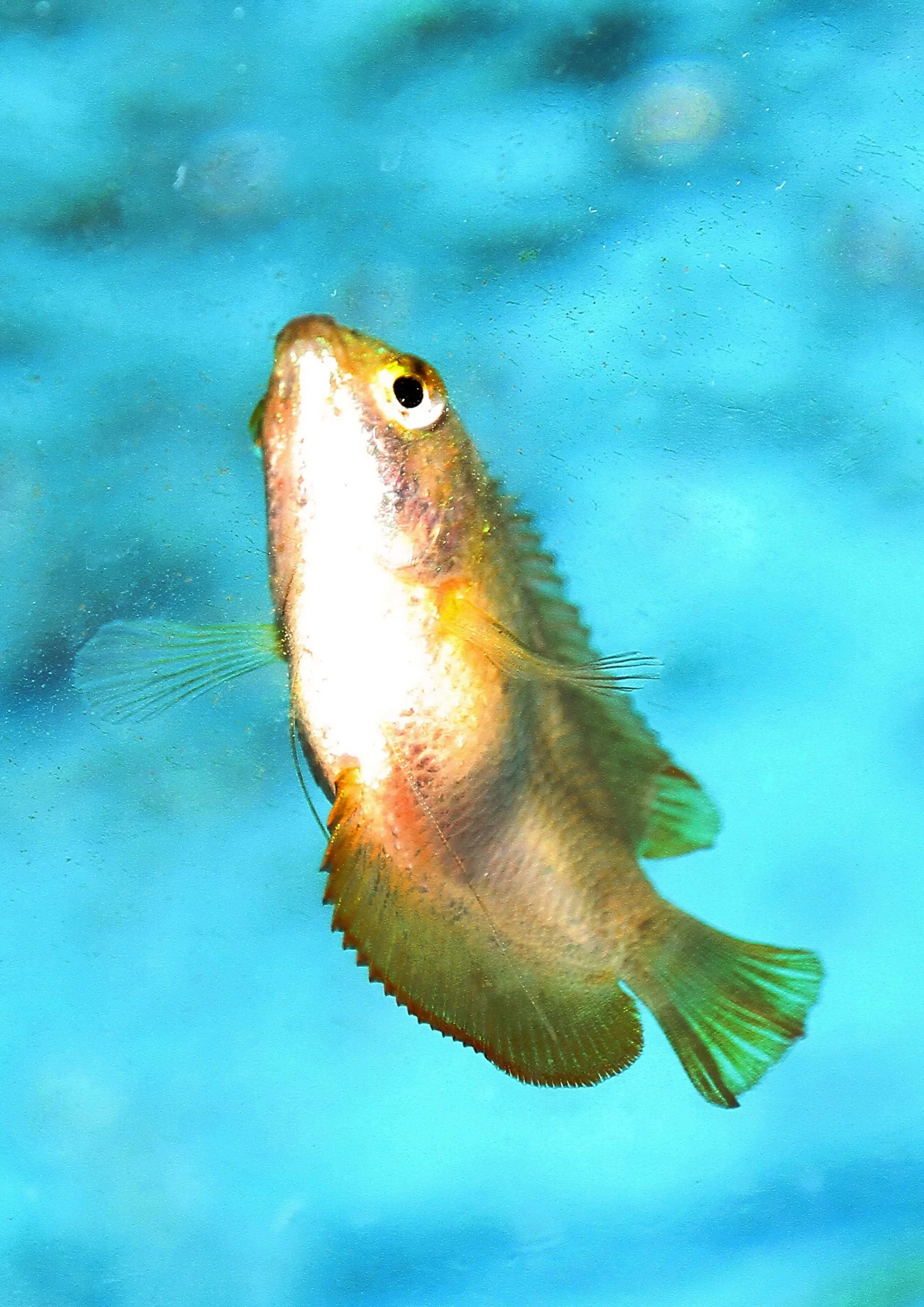 20260331 112236 K&S 0520.jpg