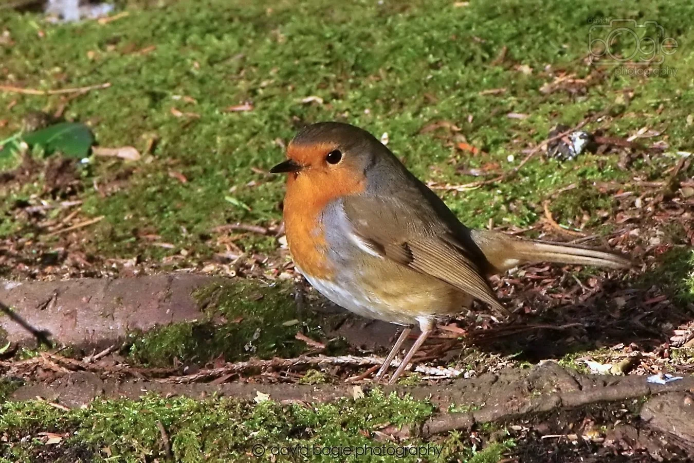 20260128 133744 Dunnikier 0221.jpg