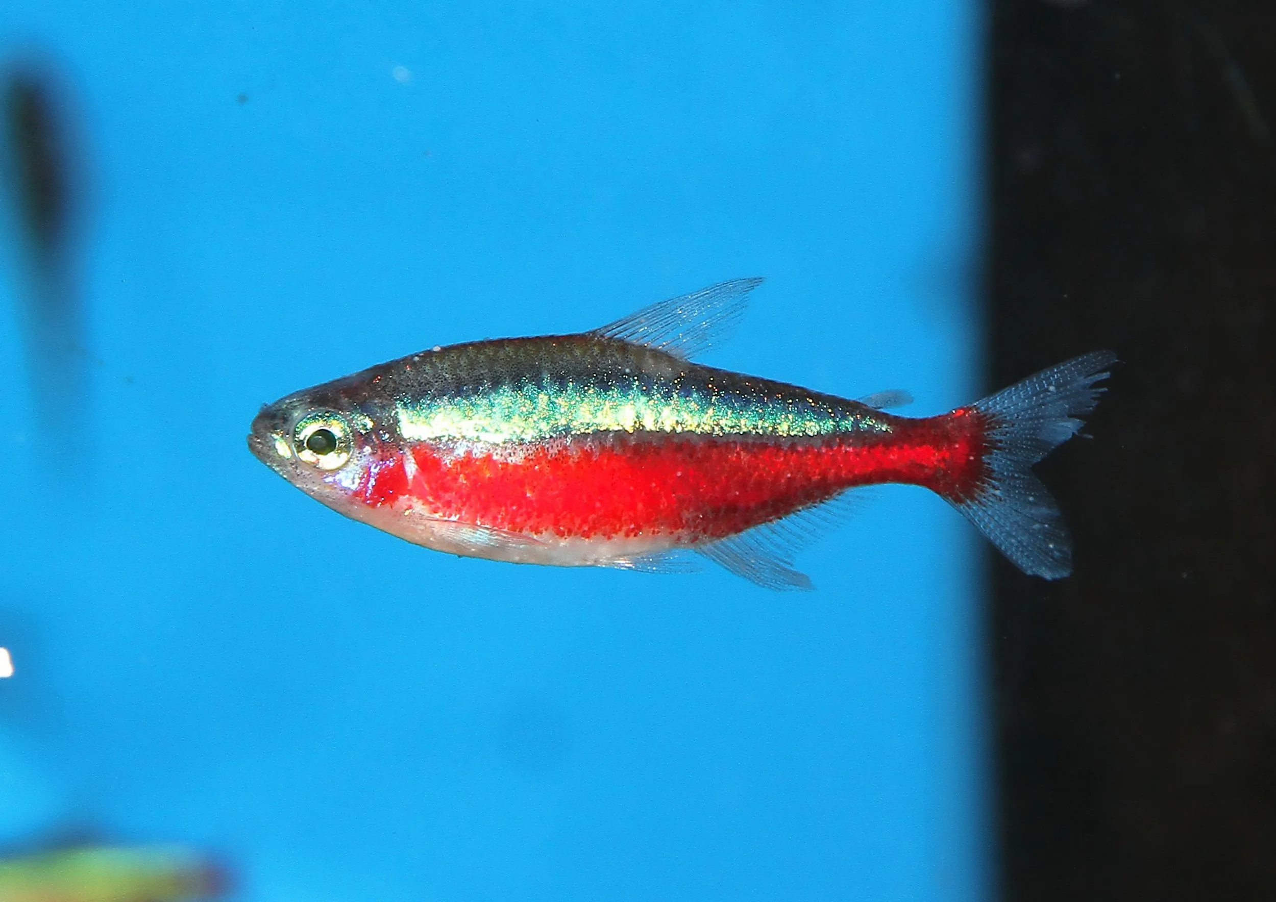 20260403 141812 IMG_0169.jpg