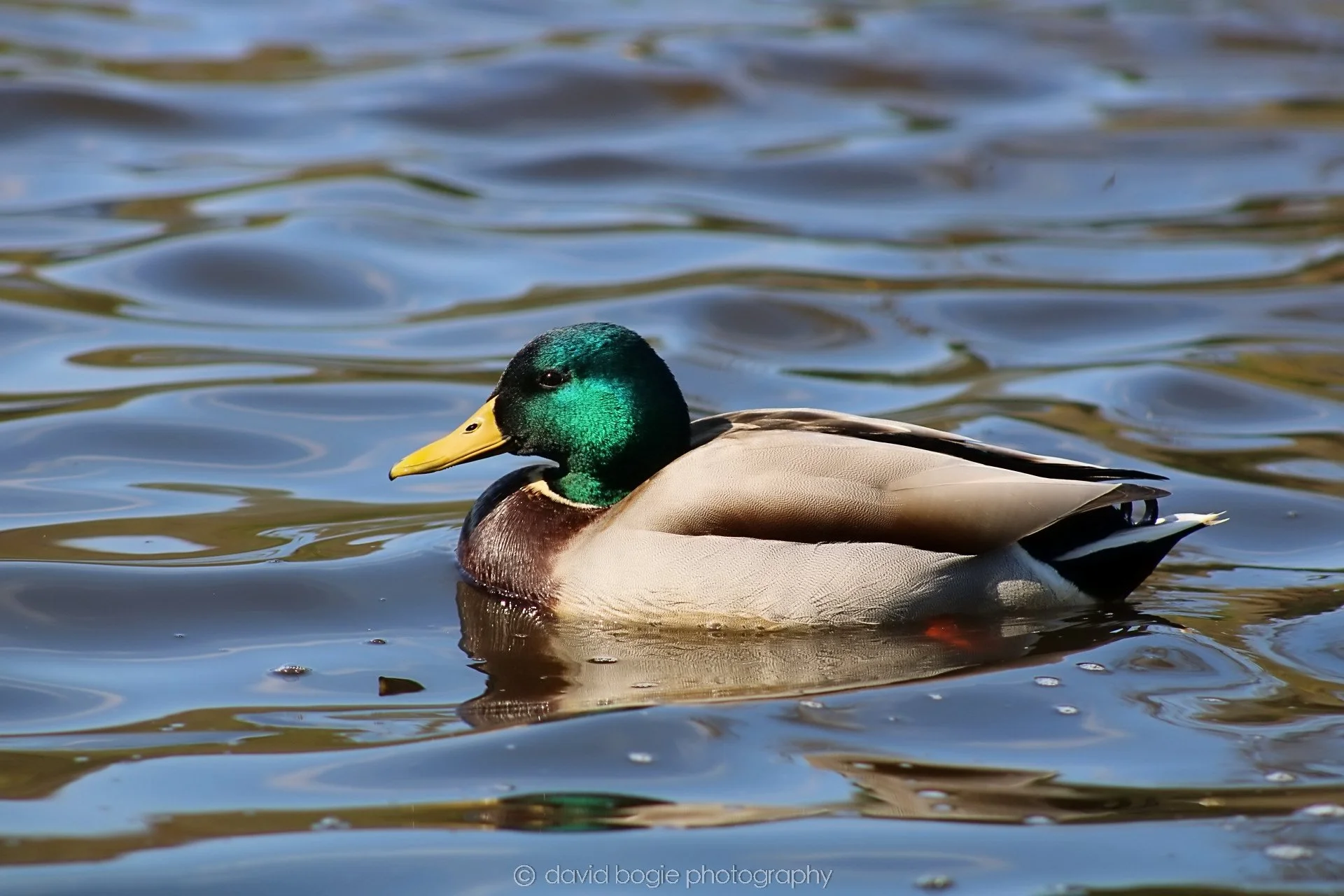 20190411 112331 Otterston 0029.jpg