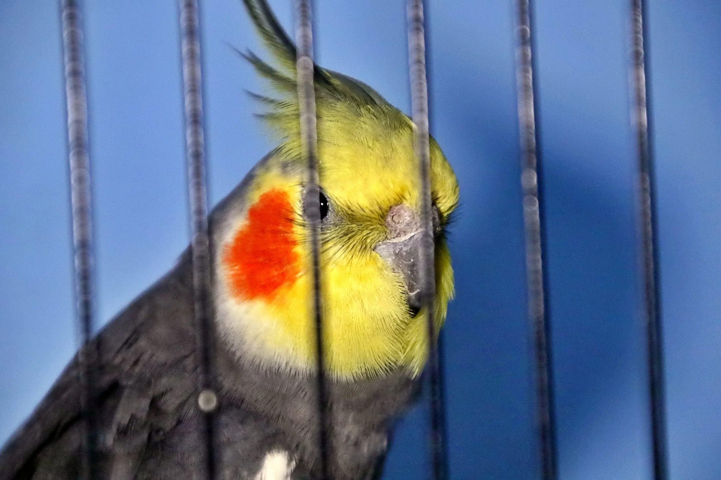 20251102 125142 Markinch CBS  0586.JPG