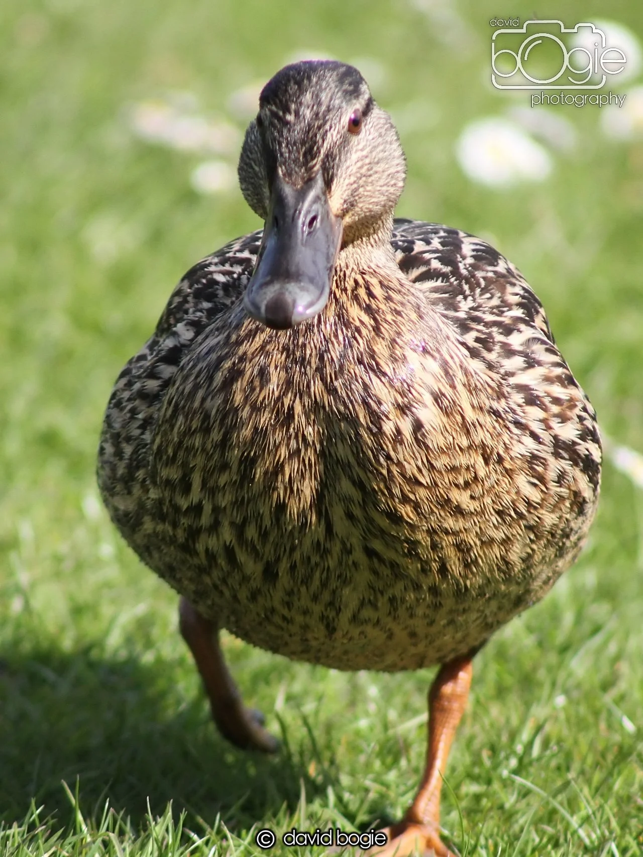 20240502 103824 Beveridge 0054.JPG