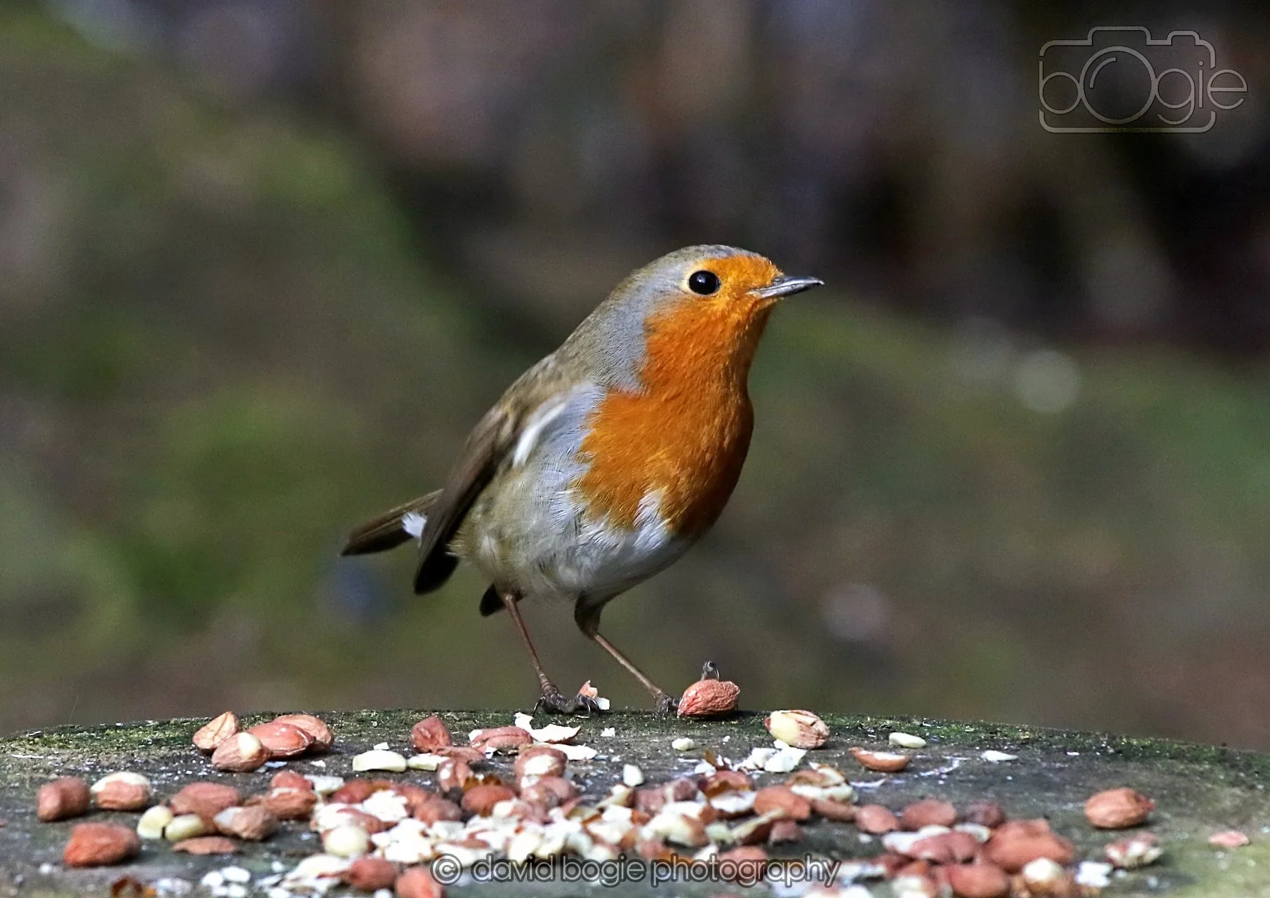 20260322 144928 Dunnikier 0191.jpg