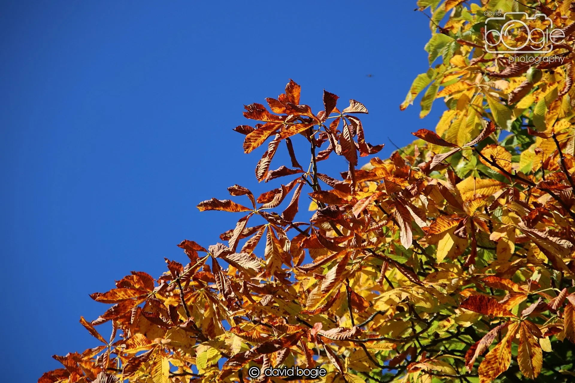 20240918 110350 Beveridge 0078.JPG