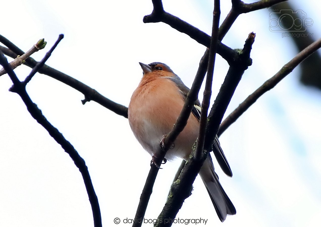 20260306 091459 Dunnikier 0086.jpg