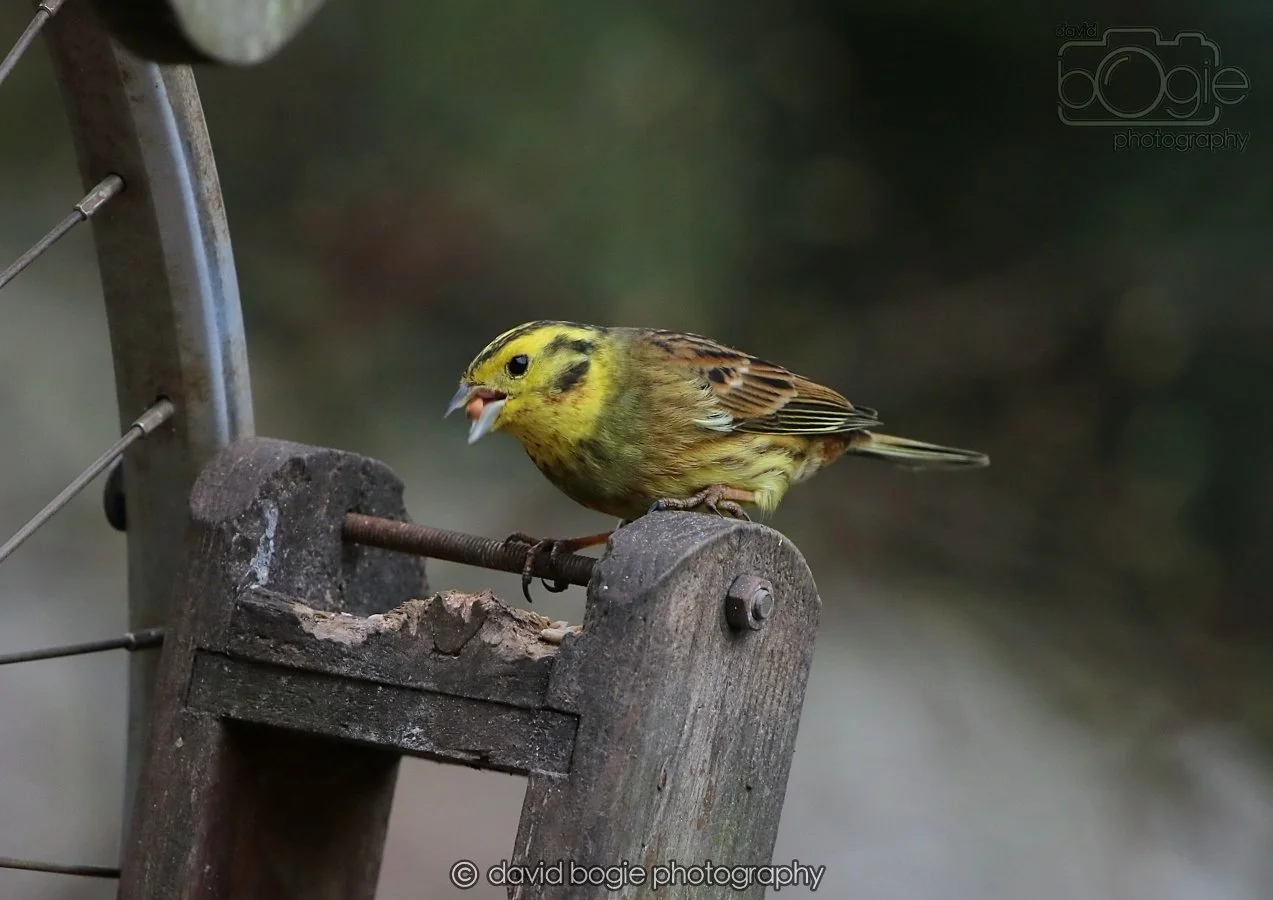 20260215 132441 Silverburn 0148.jpg