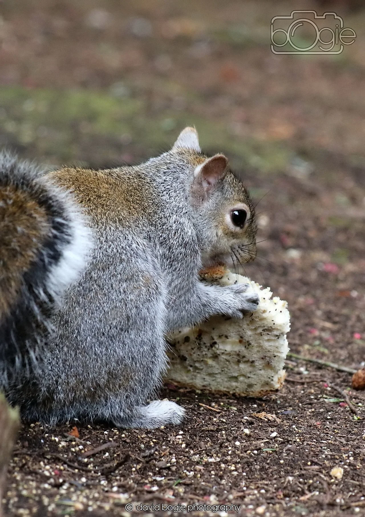 20260330 112758 Dunnikier 0195.jpg