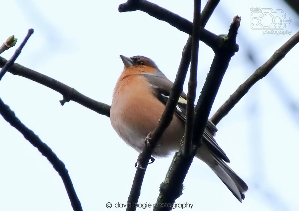 20260306 091523 Dunnikier 0103.jpg