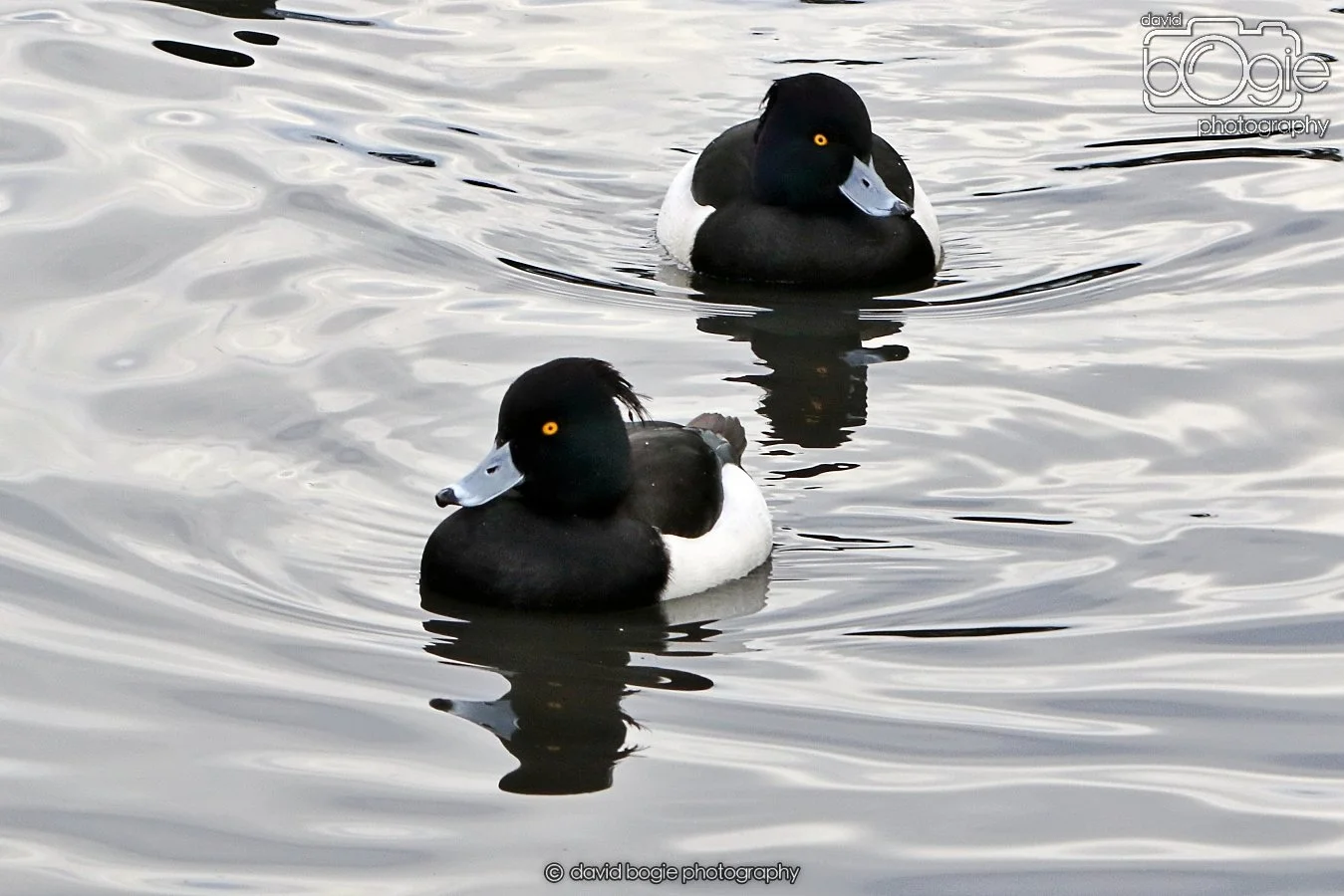 20260114 124803 Beveridge Park 0139.JPG