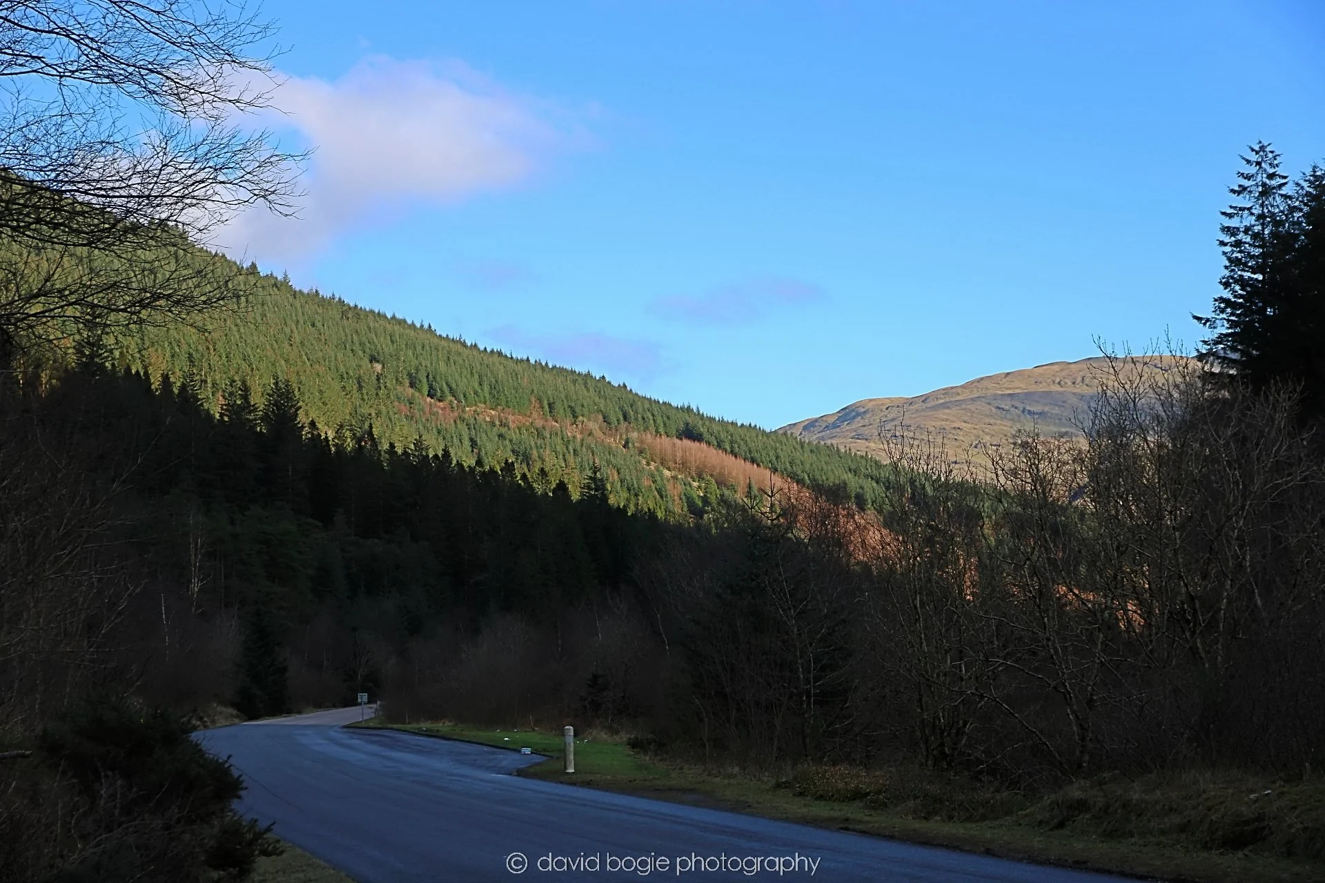 YEAR20230222 145030 Loch Lomond 0007.jpg