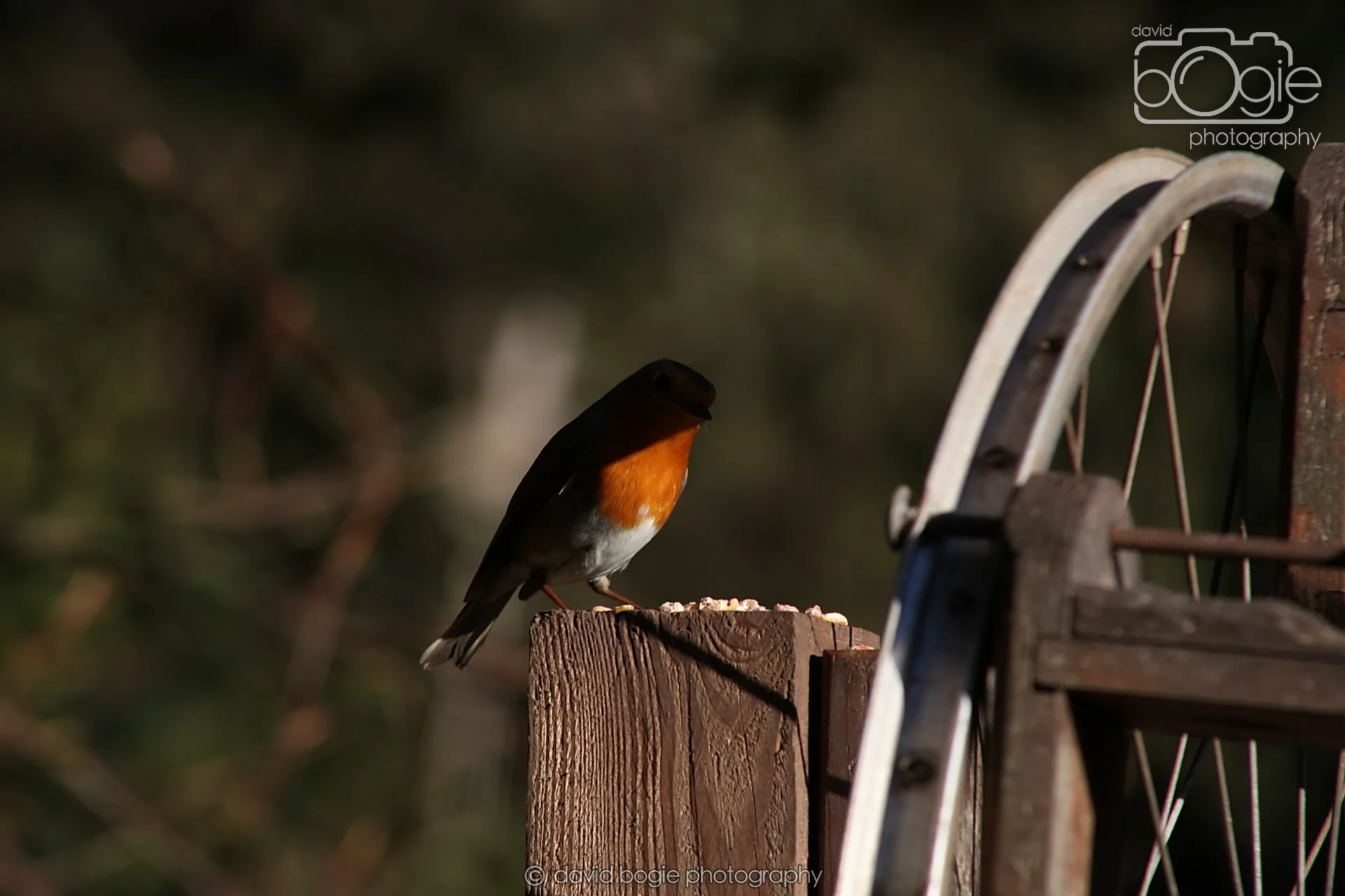 20251125 133852 Silverburn 0114.JPG