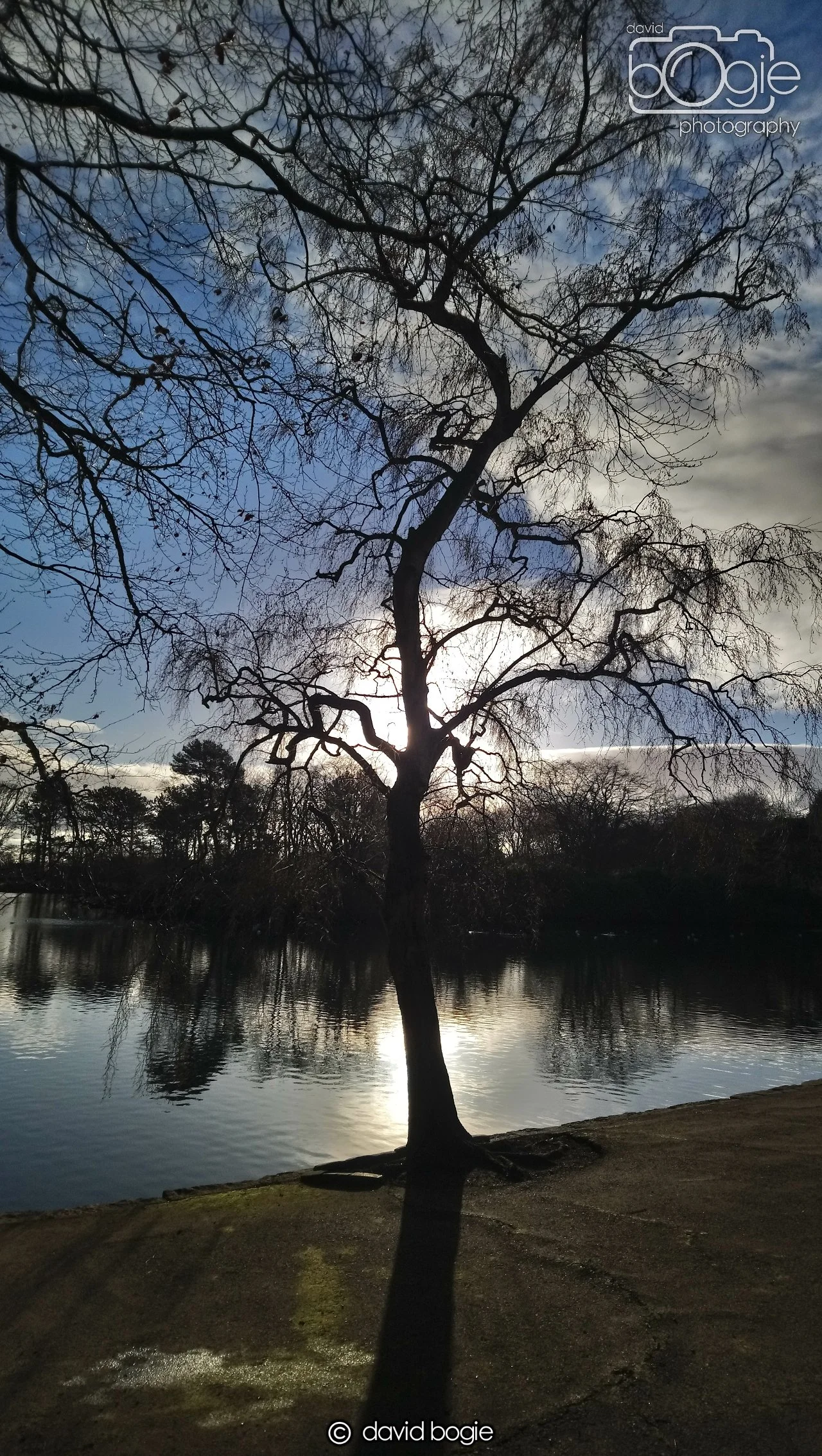 20190101 122214 Beveridge 0001.JPG