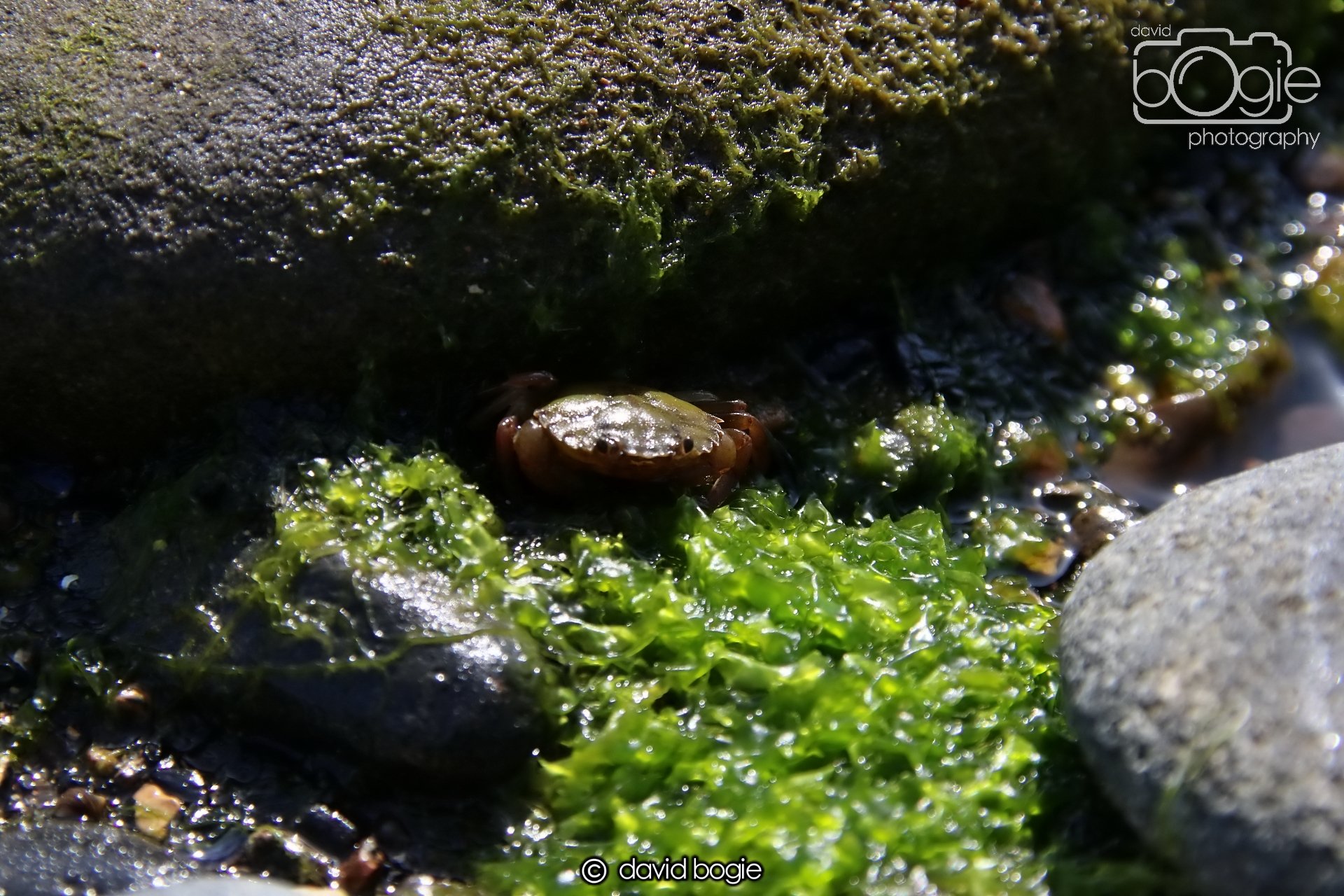 20250812 135815 Dysart 0042.JPG