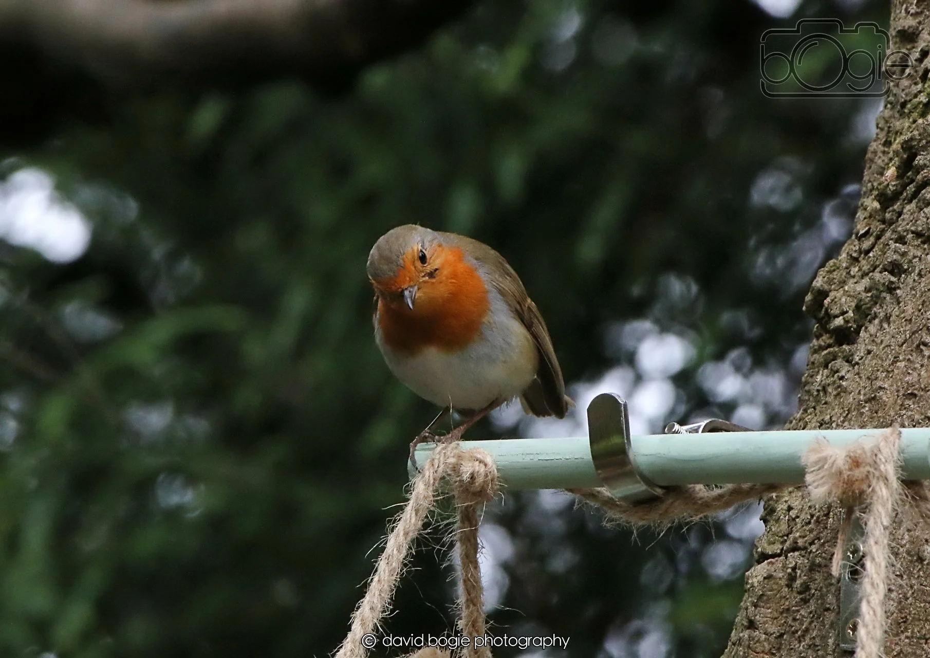 20260403 130214 Dunnikier 0313.jpg