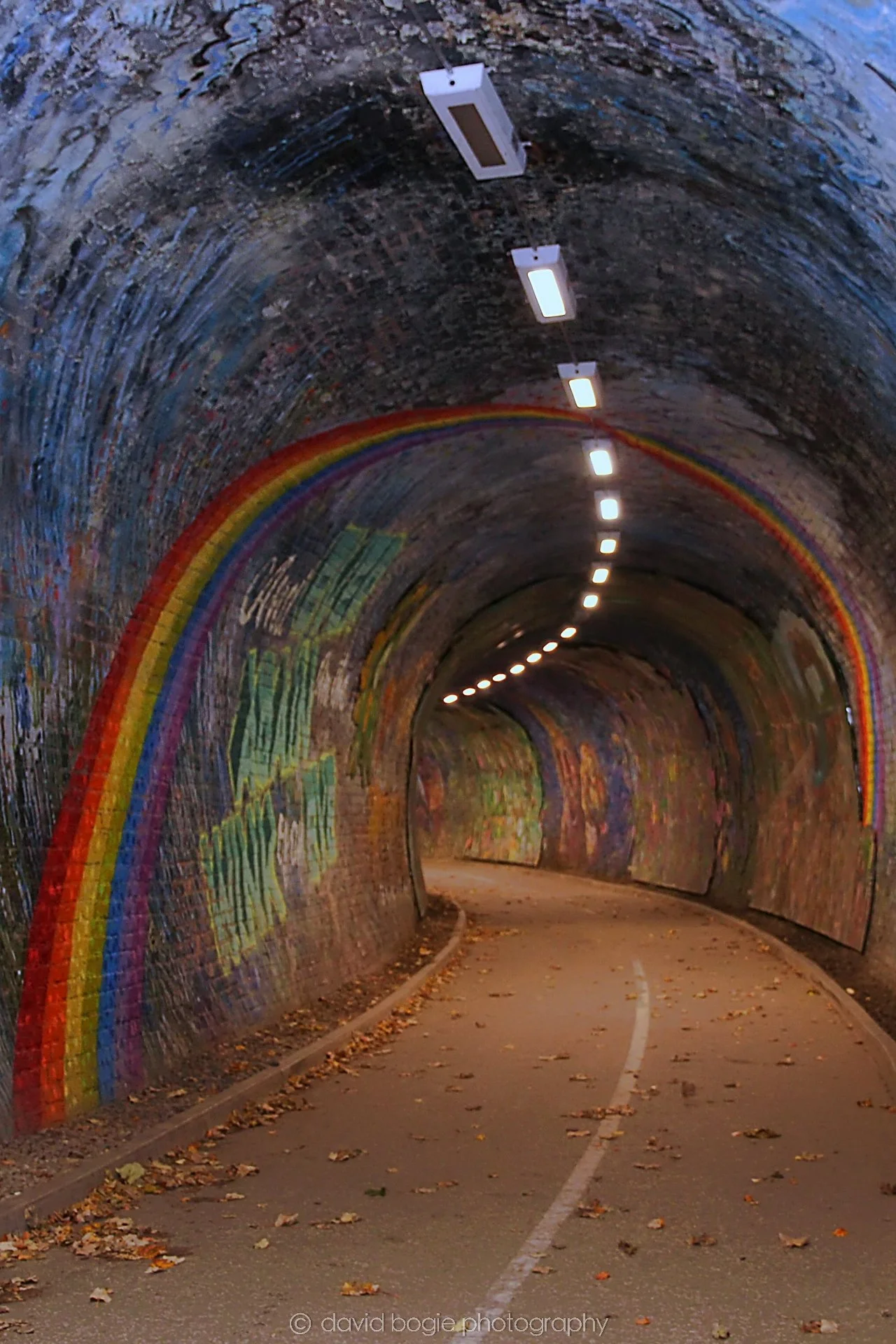 YEAR20221102 140648 Colinton Tunnel 0018.jpg