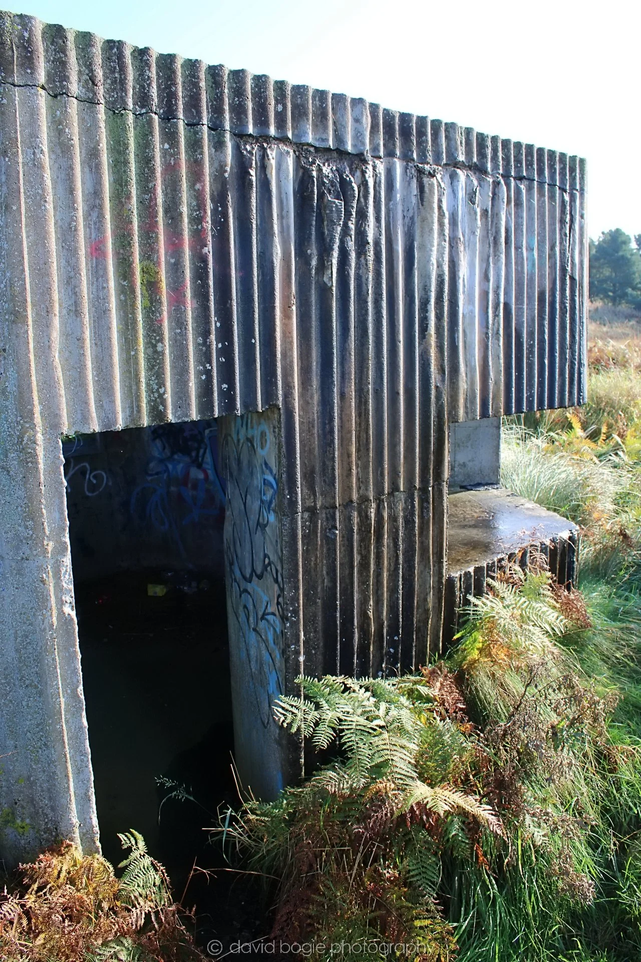 20191014 115646 Tentsmuir 0037.jpg