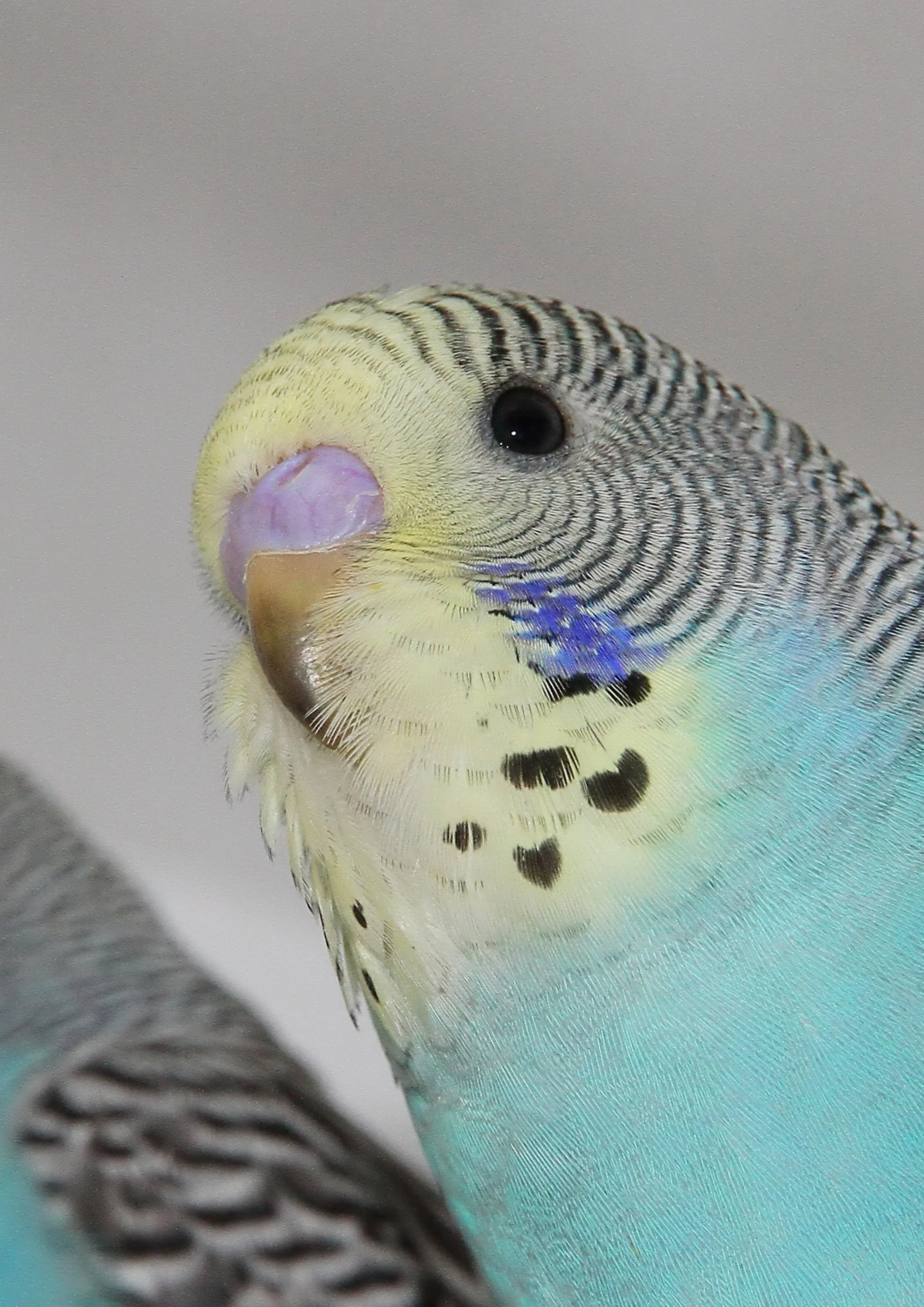 20260403 135130 IMG_0132.jpg