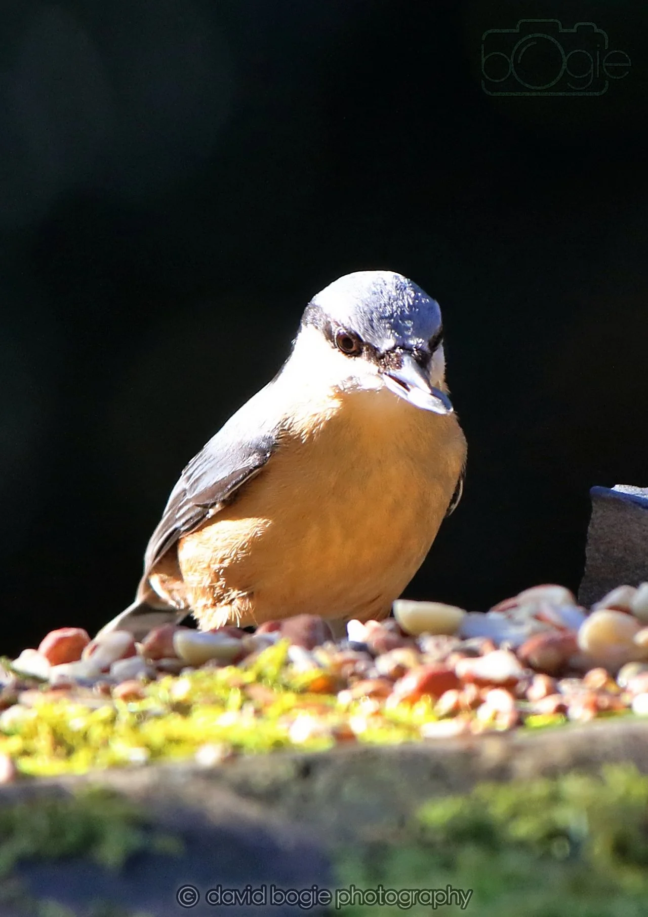 20260320 143004 Ravenscraig 0286.jpg