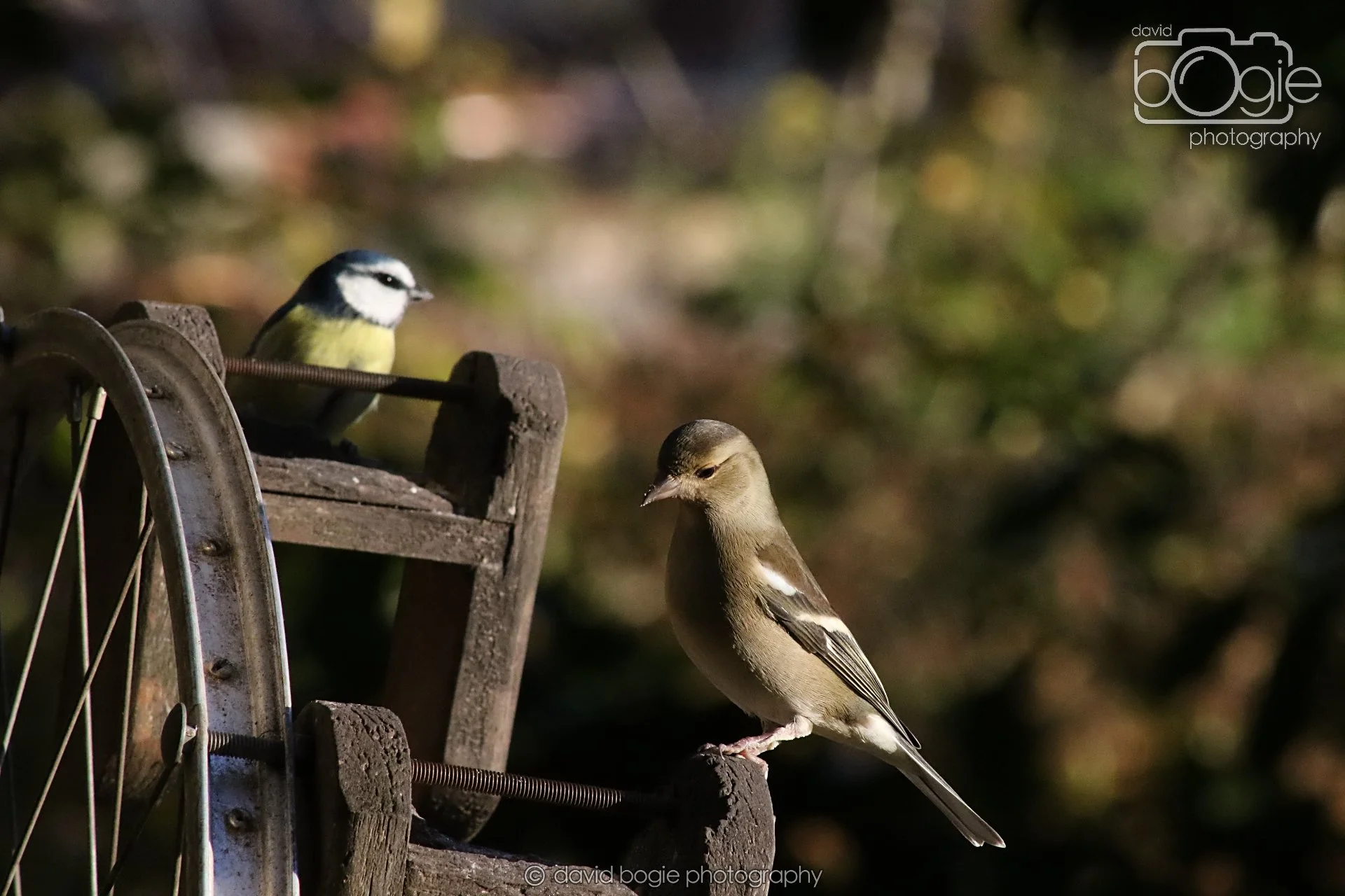 20251125 141336 Silverburn 0647.JPG