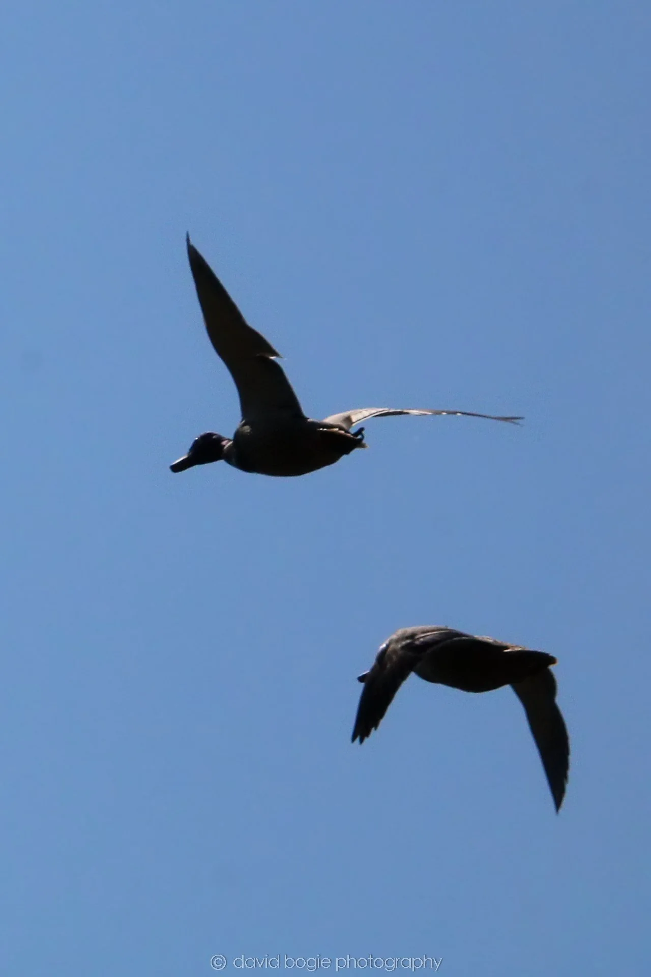 20210420 Lochore 31.jpg