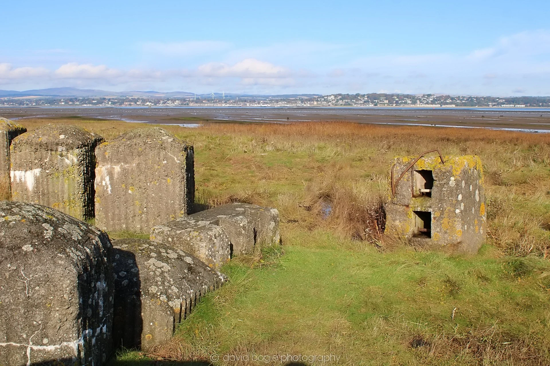 20191014 115137 Tentsmuir 0034.jpg