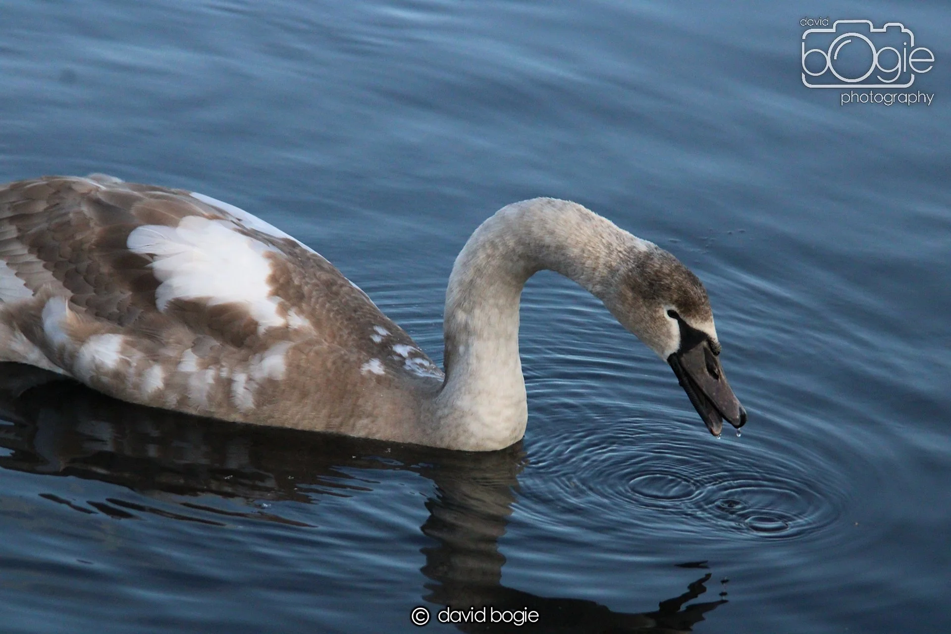 20220101 Beveridge Park 17 .JPG