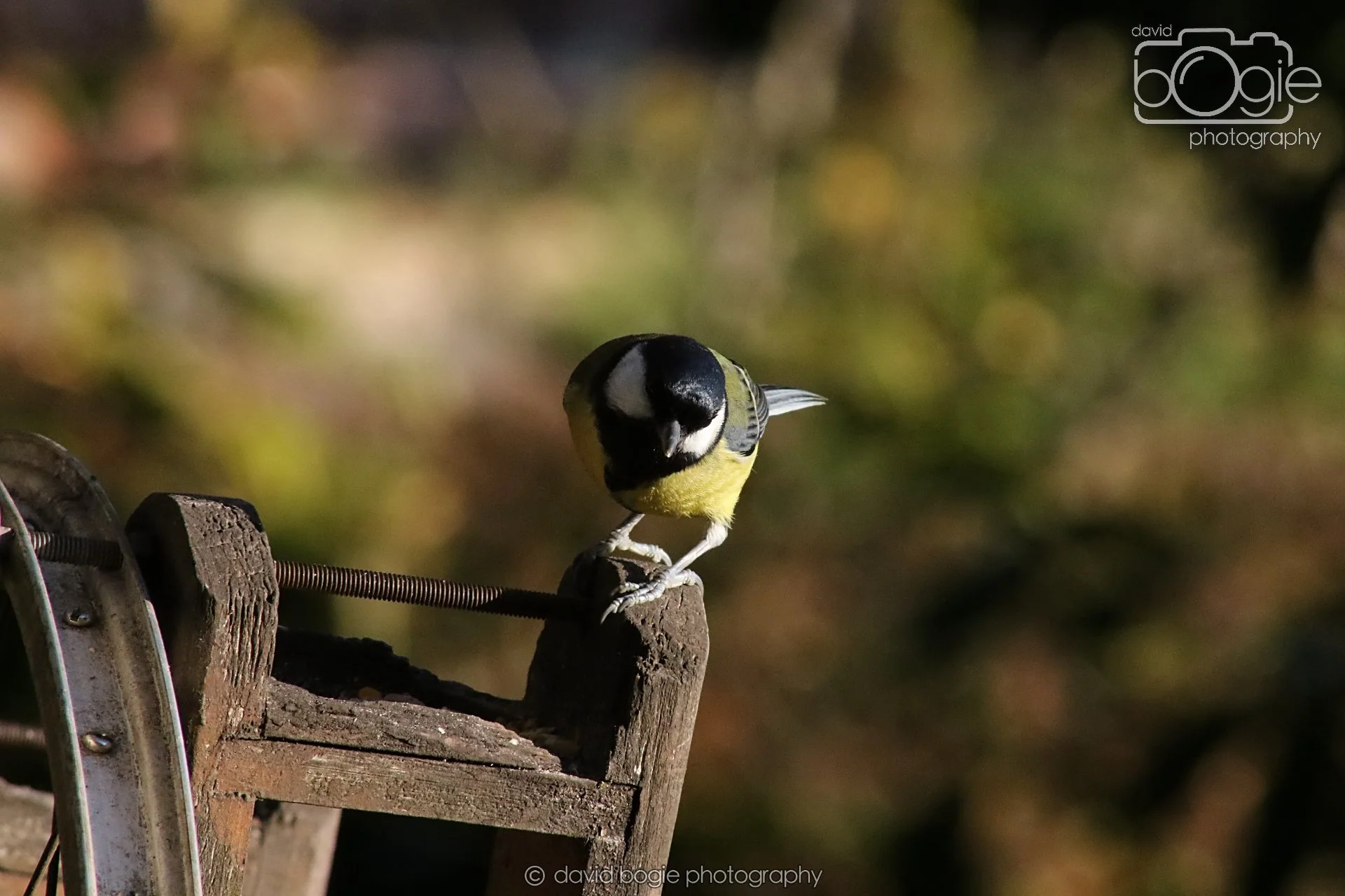 20251125 141052 Silverburn 0622.JPG