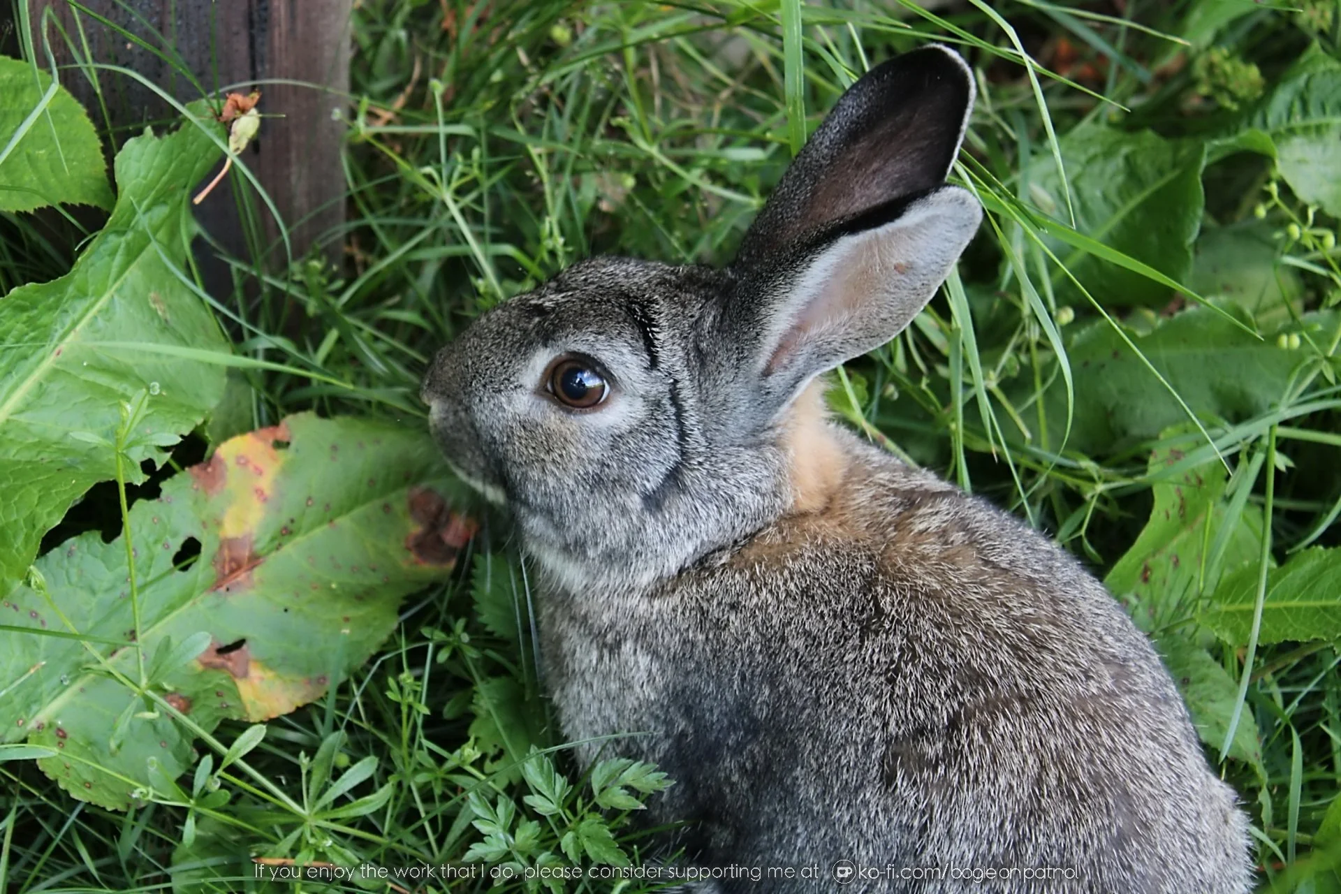 20190722 155019 Beamish .jpg
