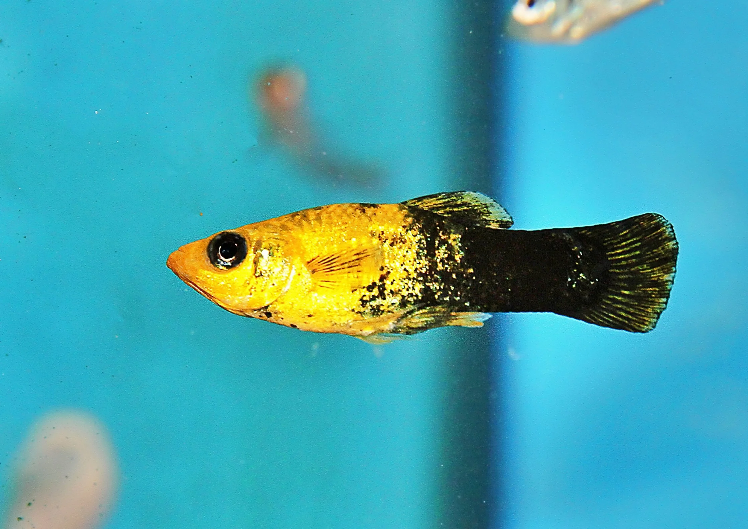 20260403 141639 IMG_0156.jpg