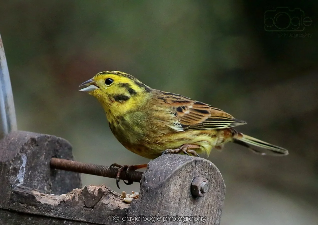 20260215 132437 Silverburn 0141.jpg