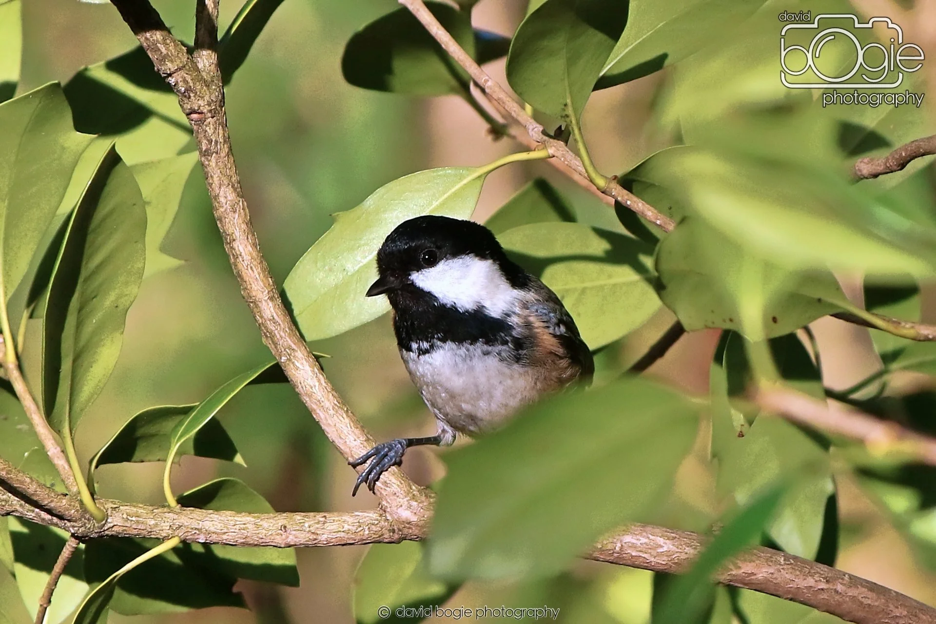 20260128 134728 Dunnikier 0293.JPG