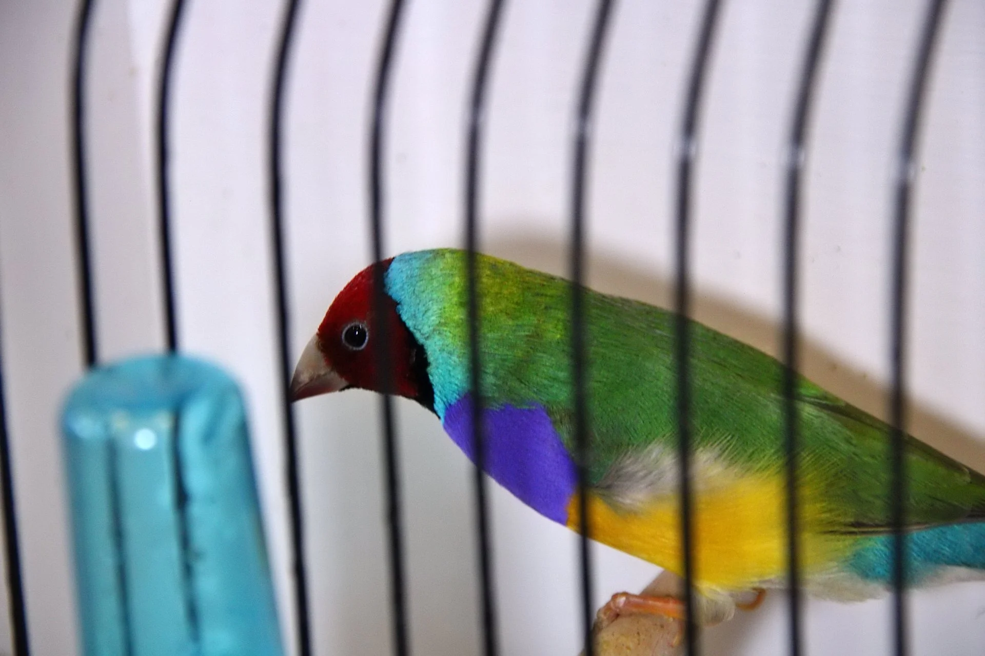 20241103 130835 MCBS Show 0475.JPG