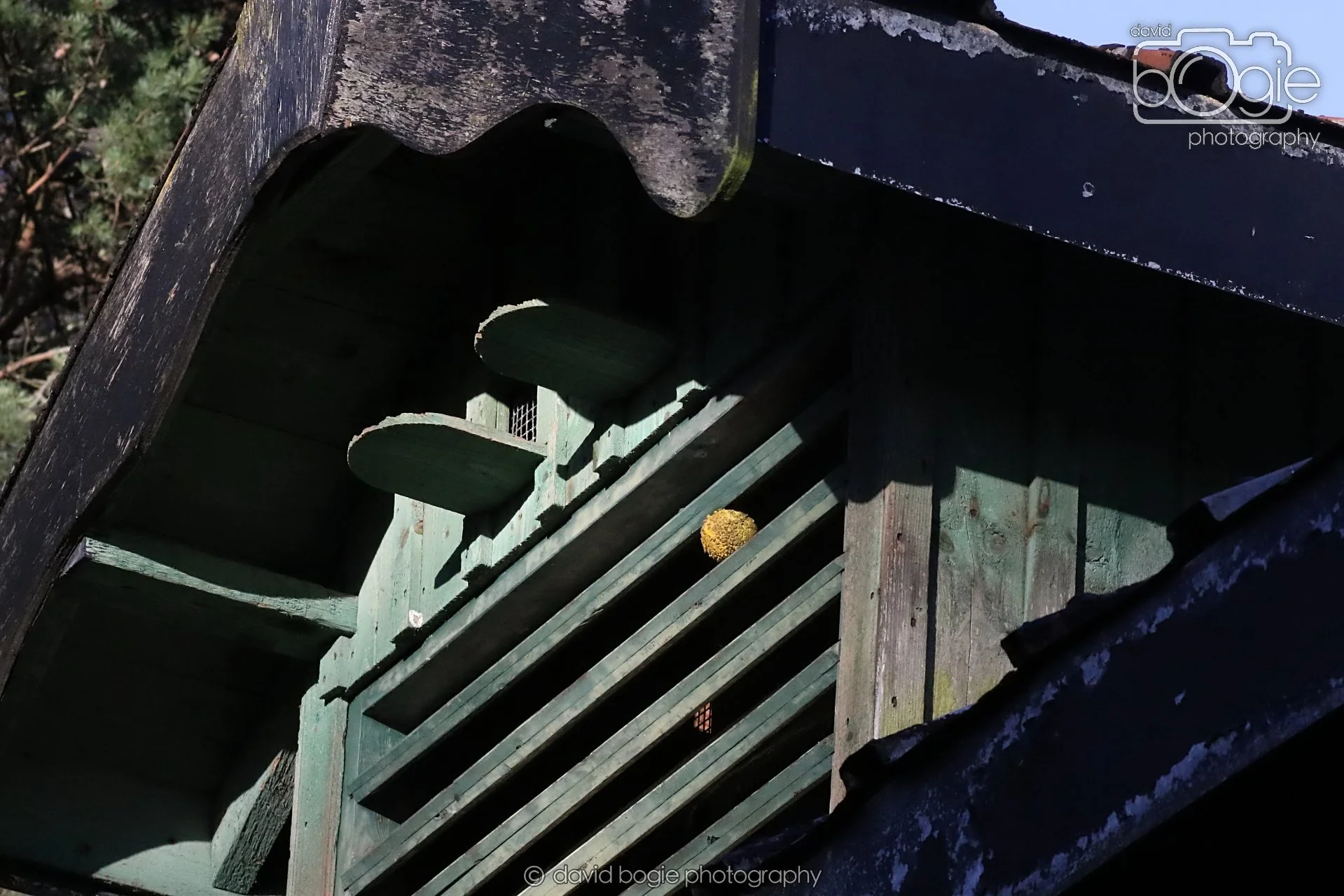 20251125 142520 Silverburn 0688.JPG