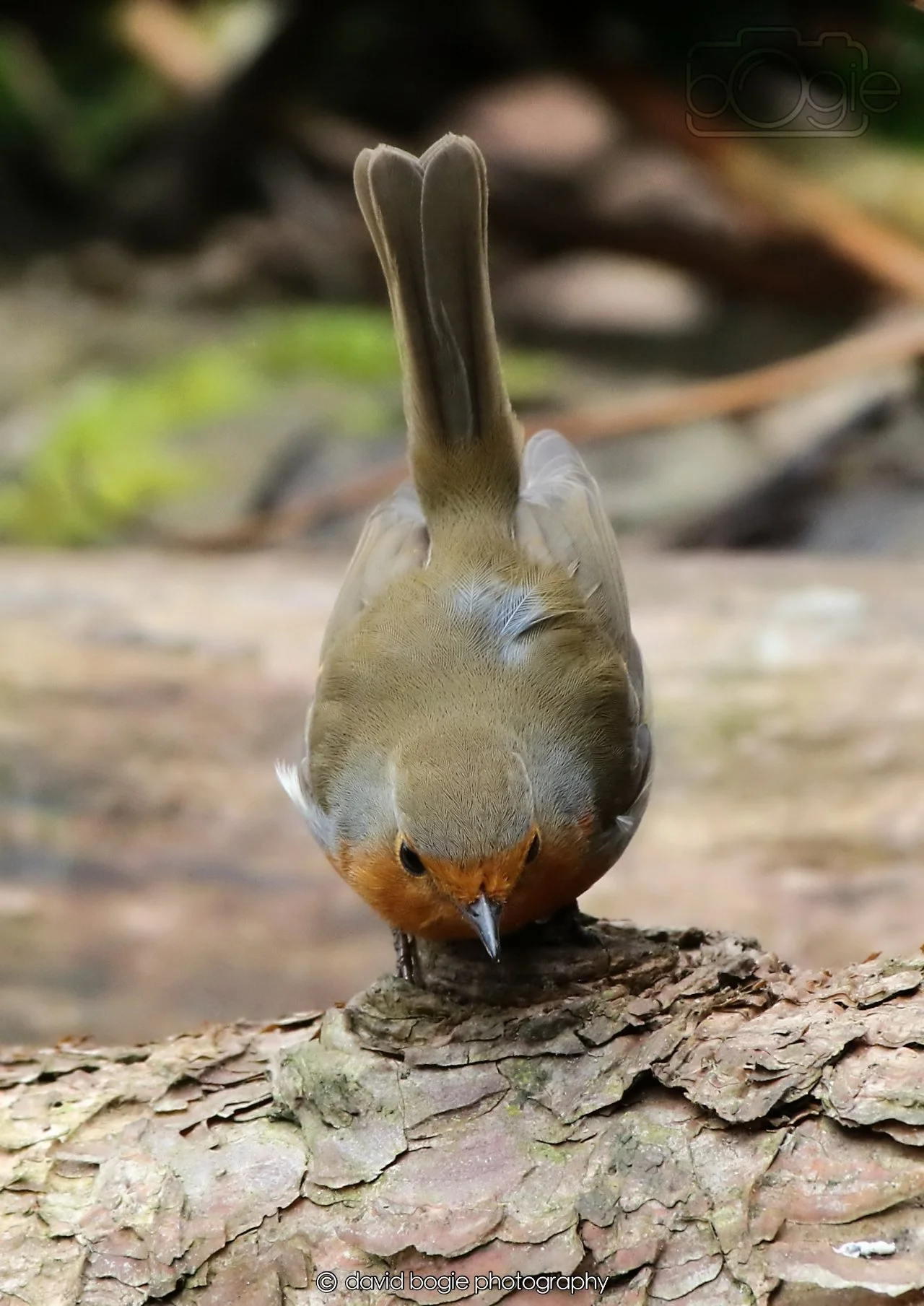 20260326 112308 Silverburn 0084.jpg