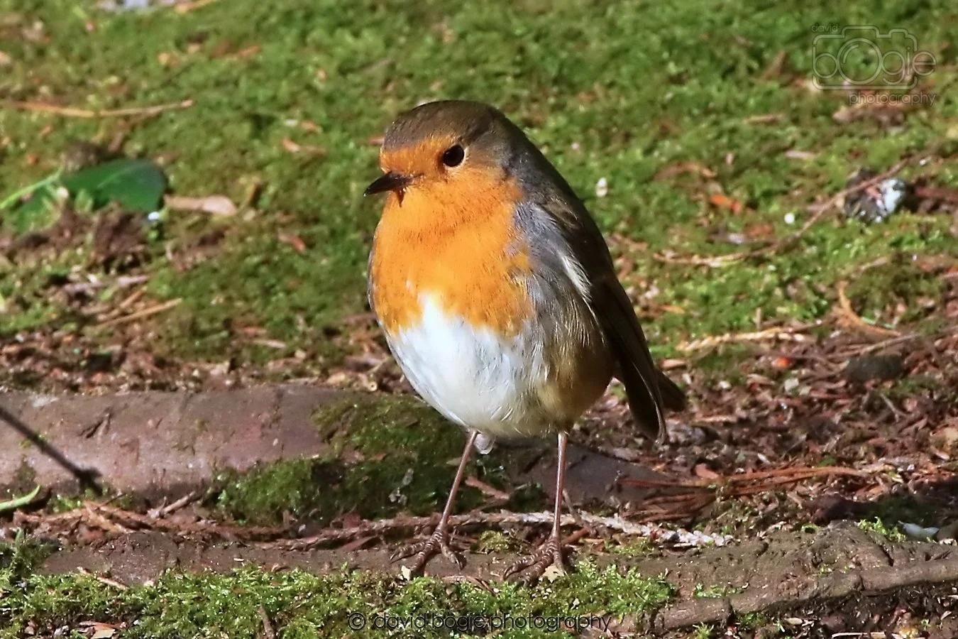 20260128 133753 Dunnikier 0231.jpg